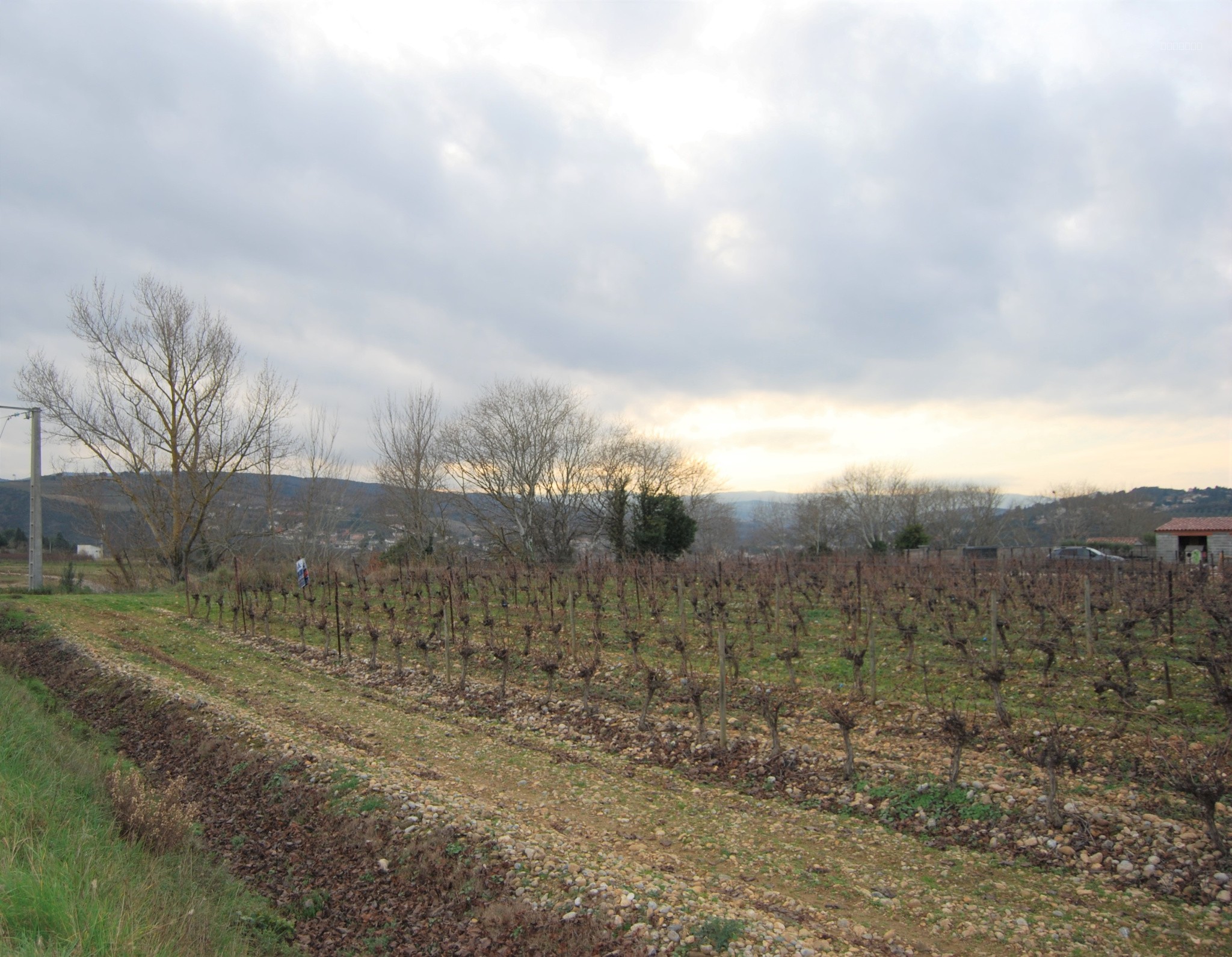 Terrain à vendre à Limoux, 2 500 m² – photo 1 sur 1