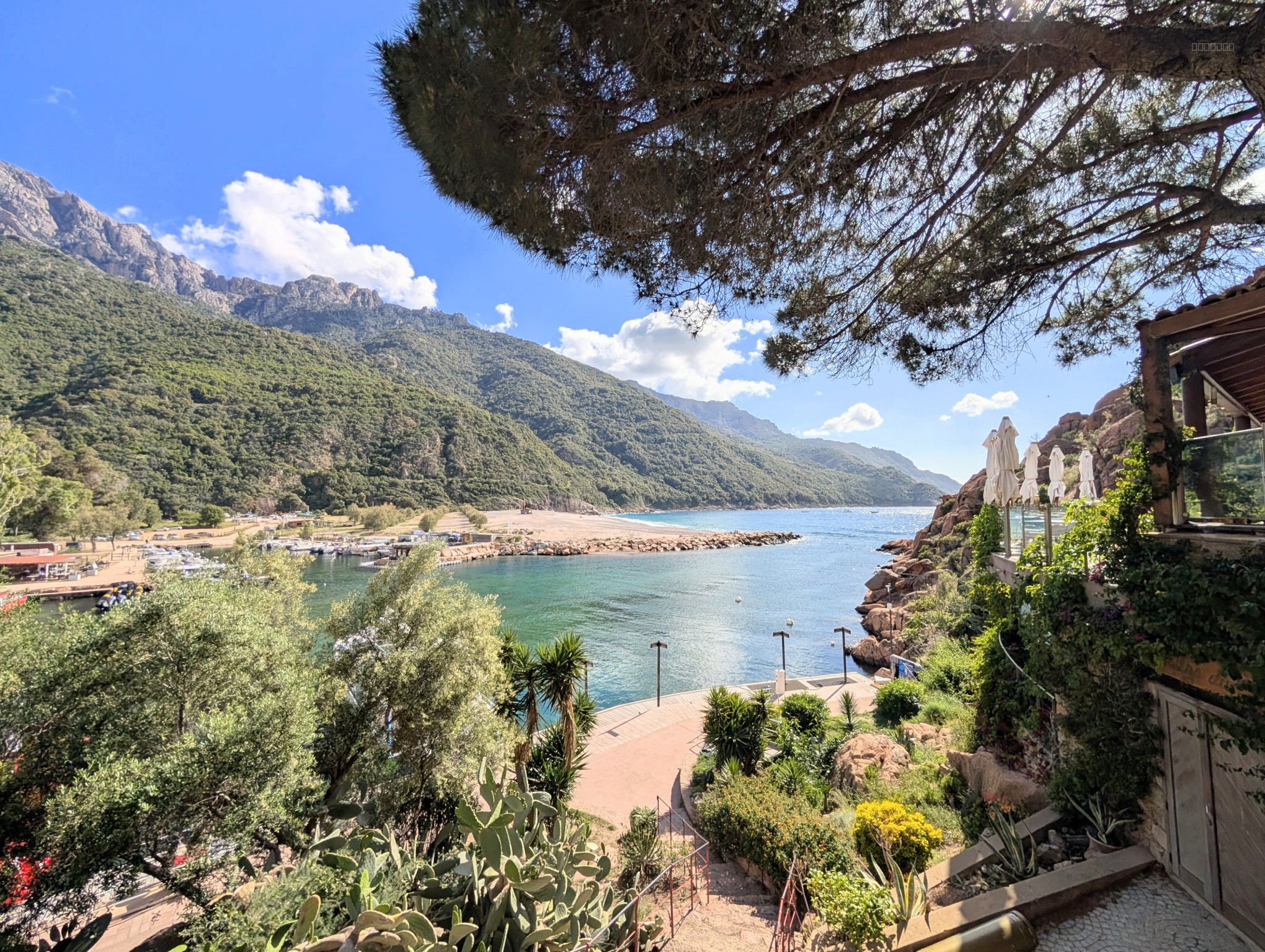 VENTE : APPART T2 VUE FLEUVE ET MAQUIS PORTO OTA — photo 3