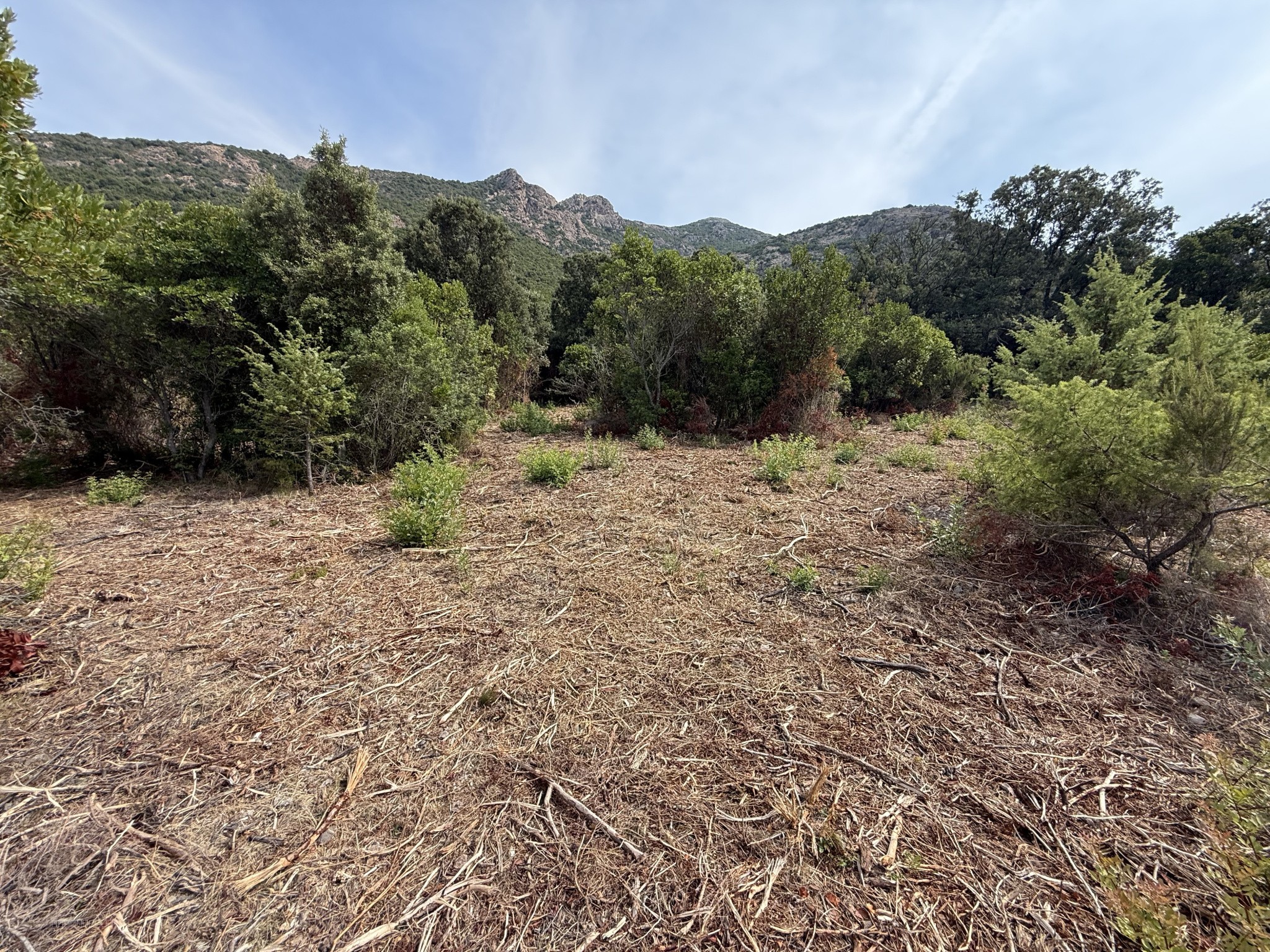 Terrain à vendre à Galeria, 3 328 m² – photo 2 sur 2