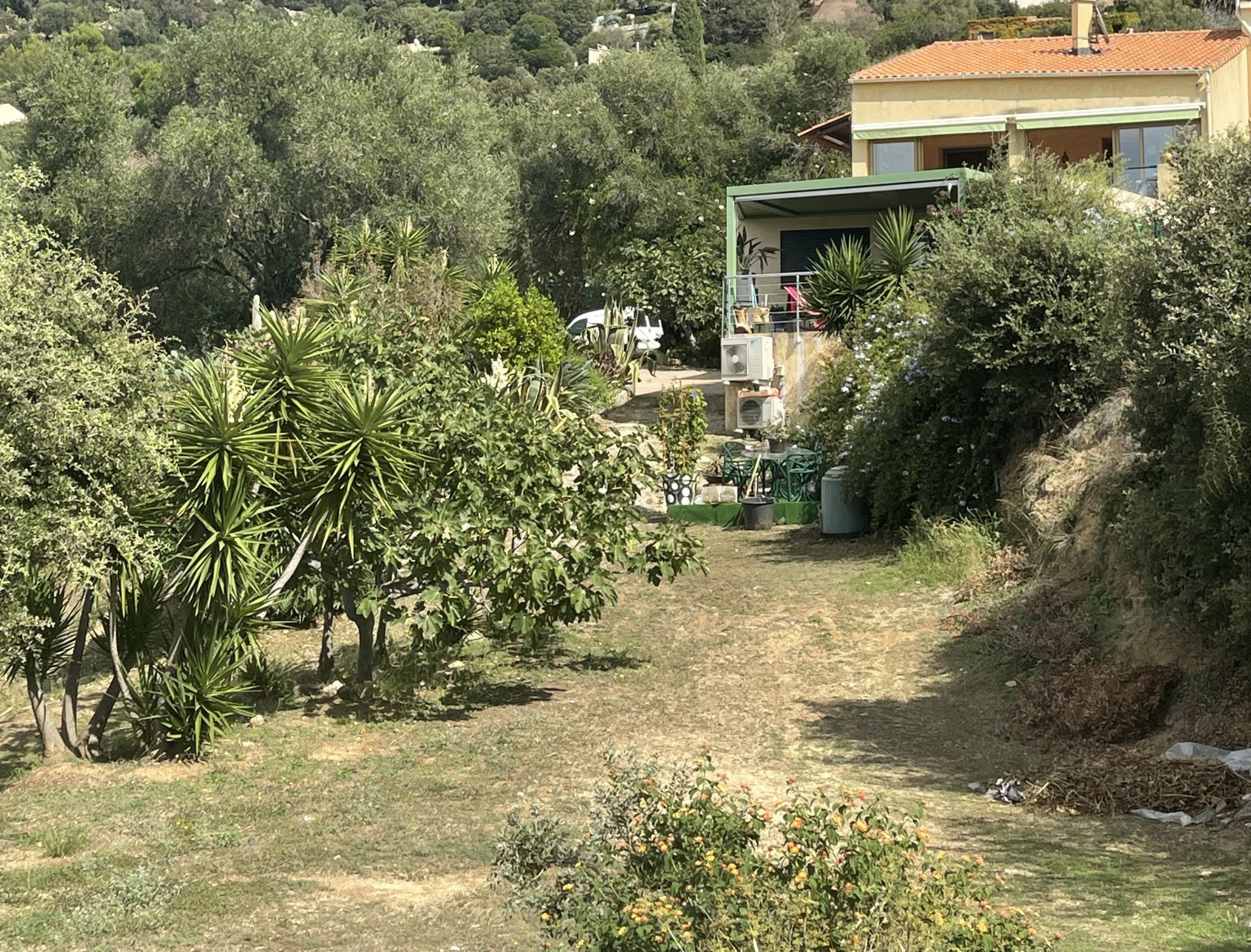 Maison à vendre à Lumio, 24 m², 3 pièces – photo 2 sur 9