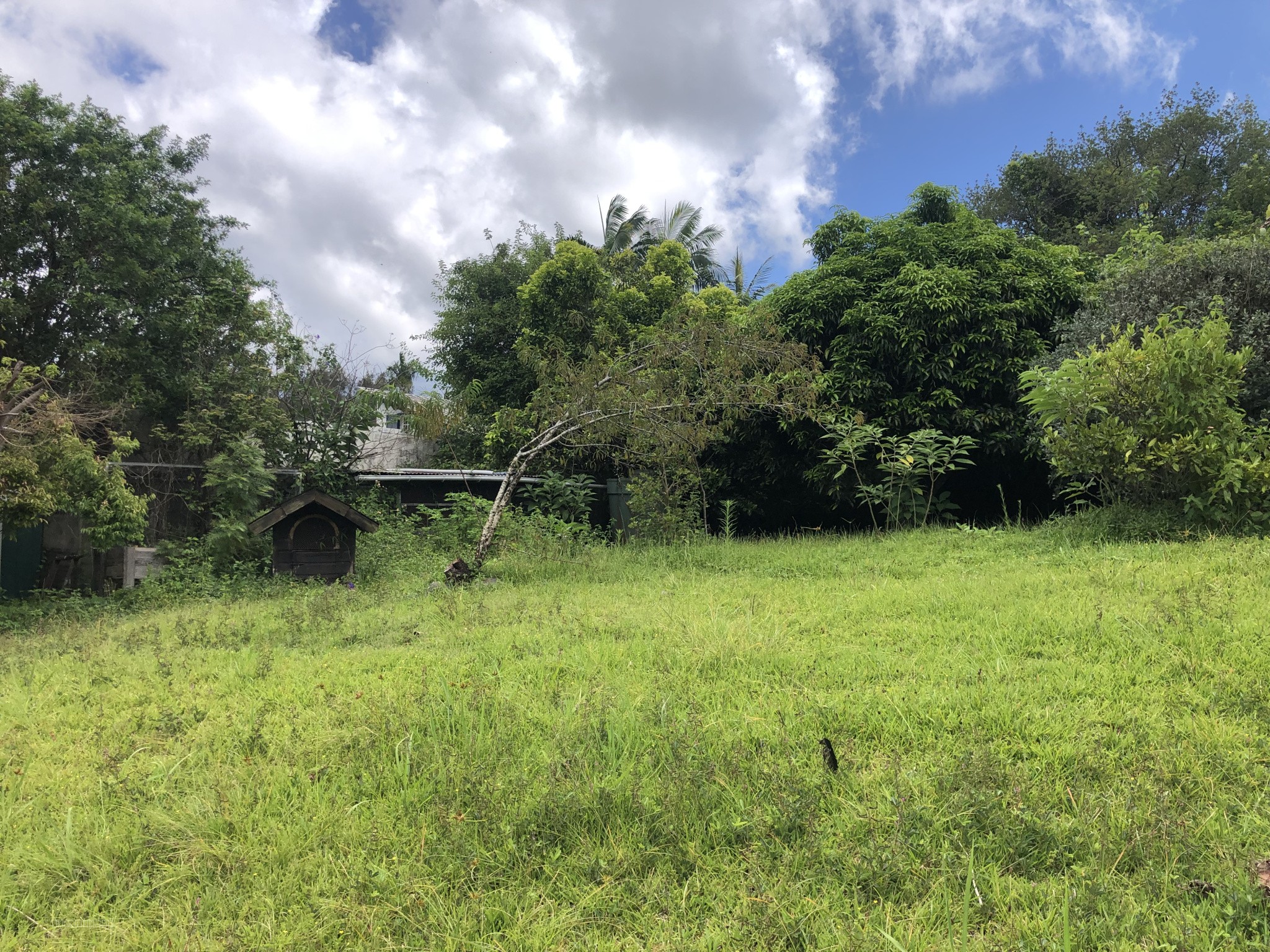 Bien immobilier à vendre à Le tampon, 412 m² – photo 2 sur 8