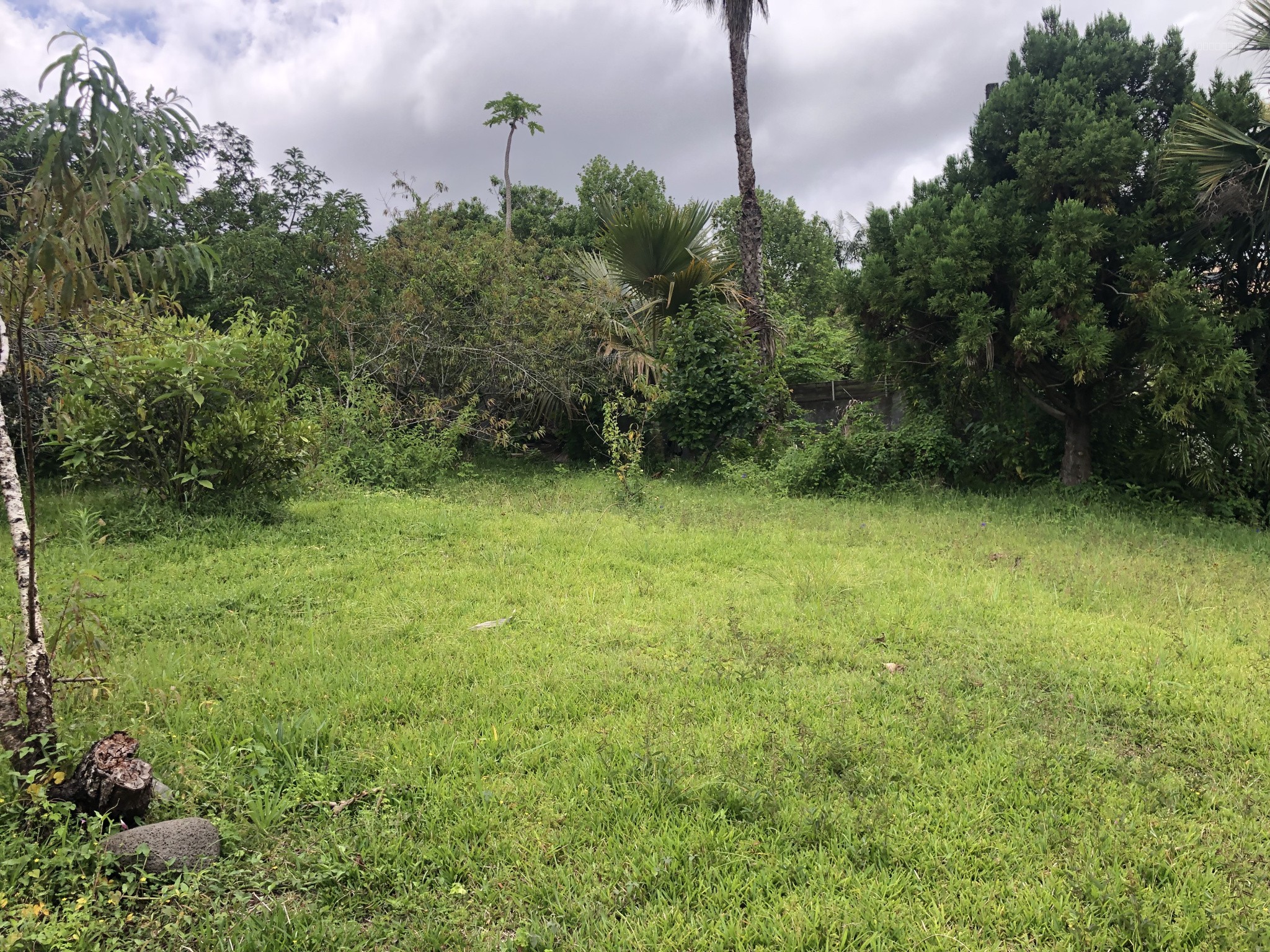 Bien immobilier à vendre à Le tampon, 412 m² – photo 3 sur 8