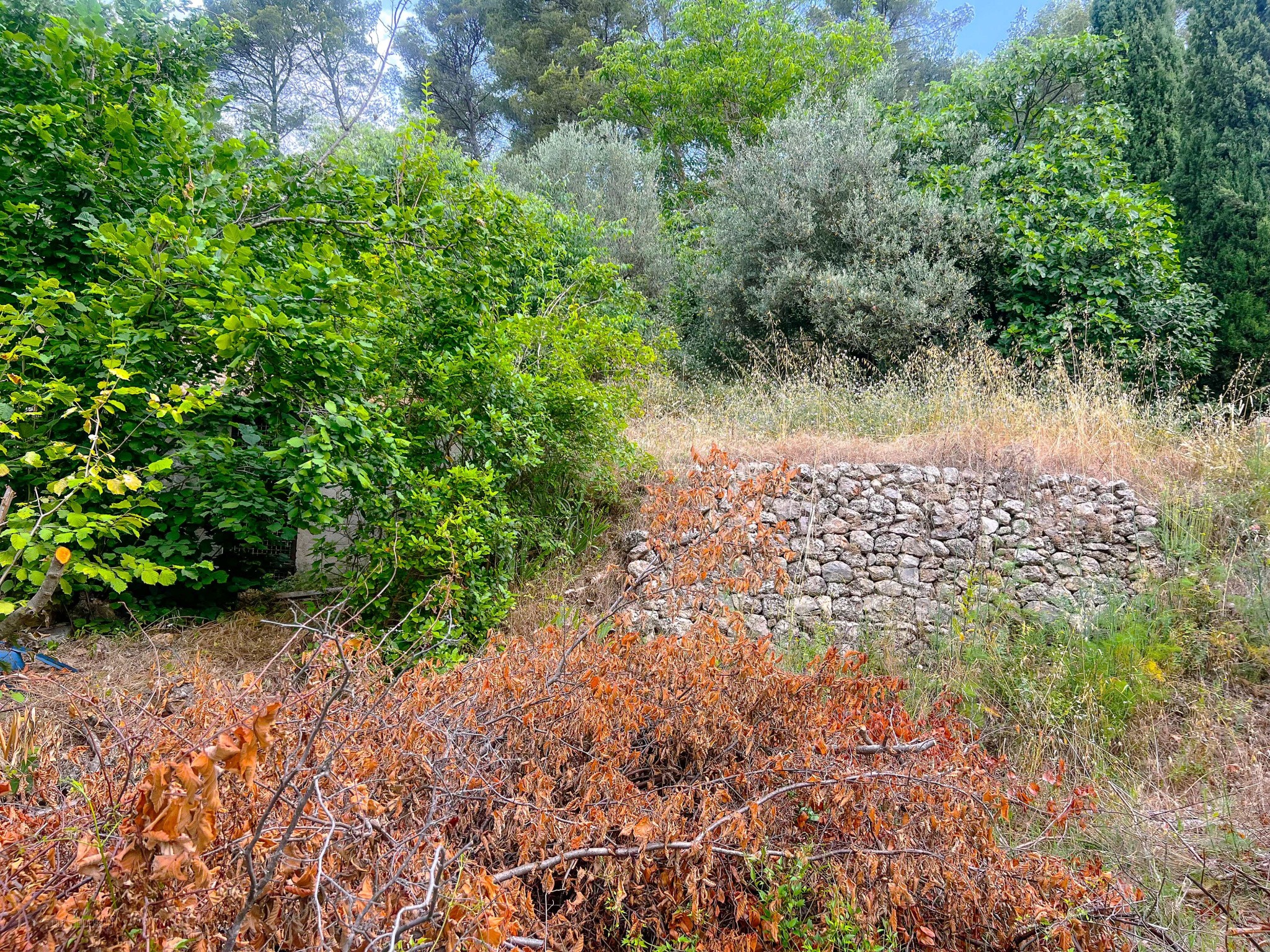 Bien immobilier à vendre à Montfort sur argens, 940 m² – photo 2 sur 3