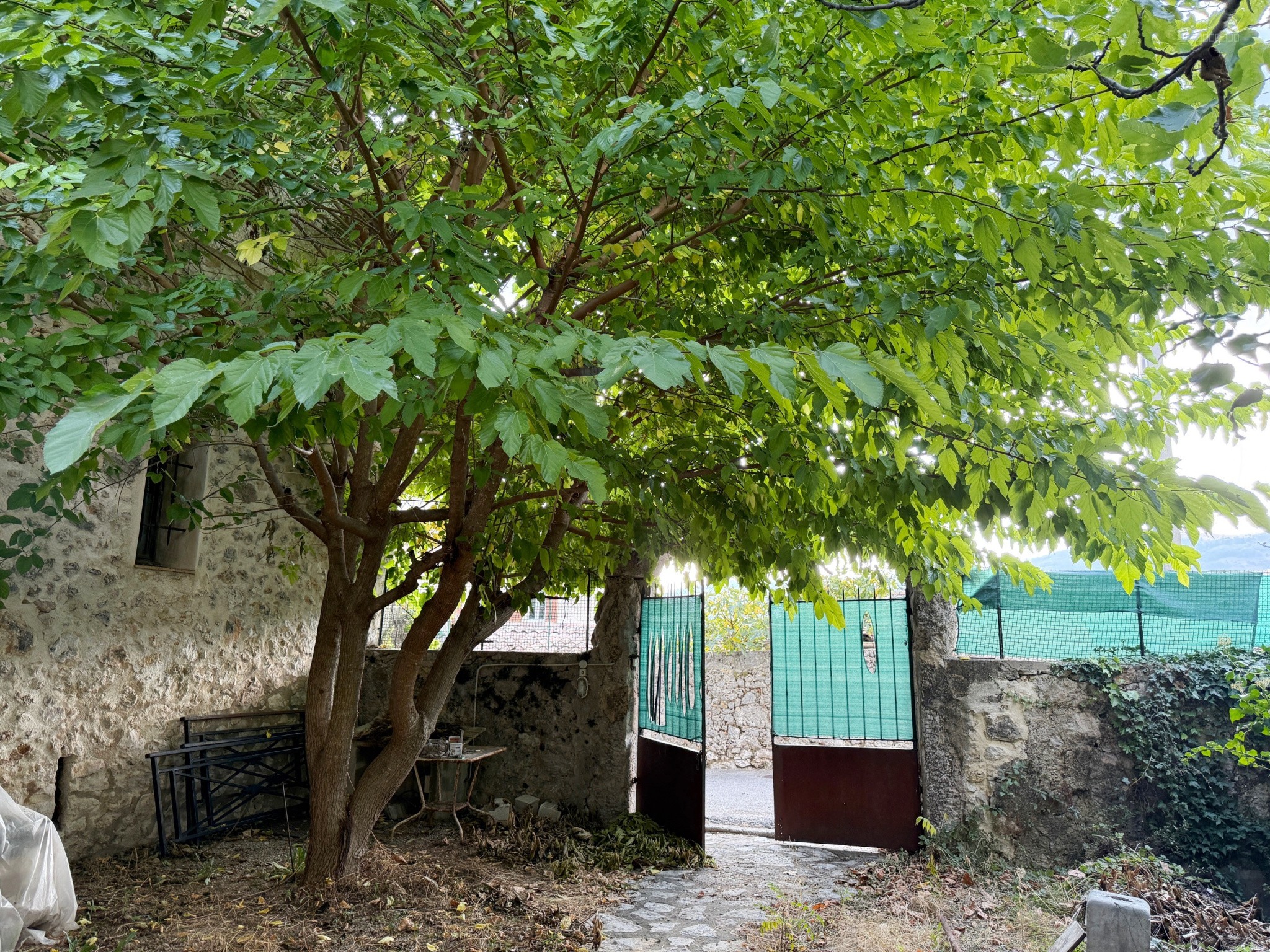 Bien immobilier à vendre à Bouyon, 96 m², 2 pièces – photo 3 sur 9