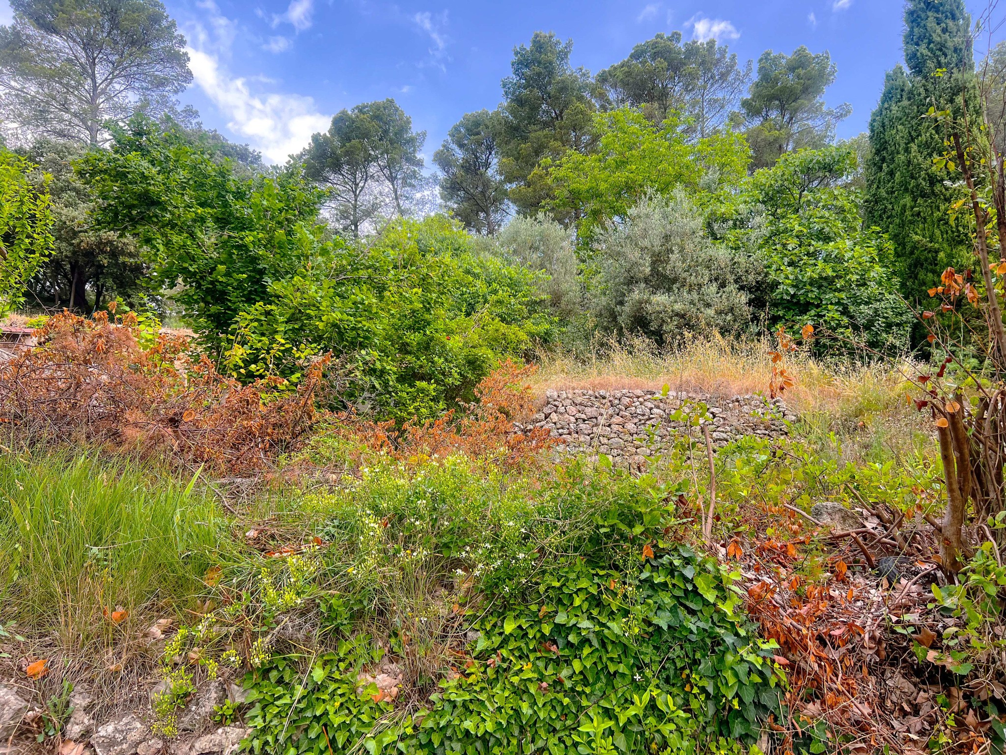 Bien immobilier à vendre à Montfort sur argens, 940 m² – photo 1 sur 3