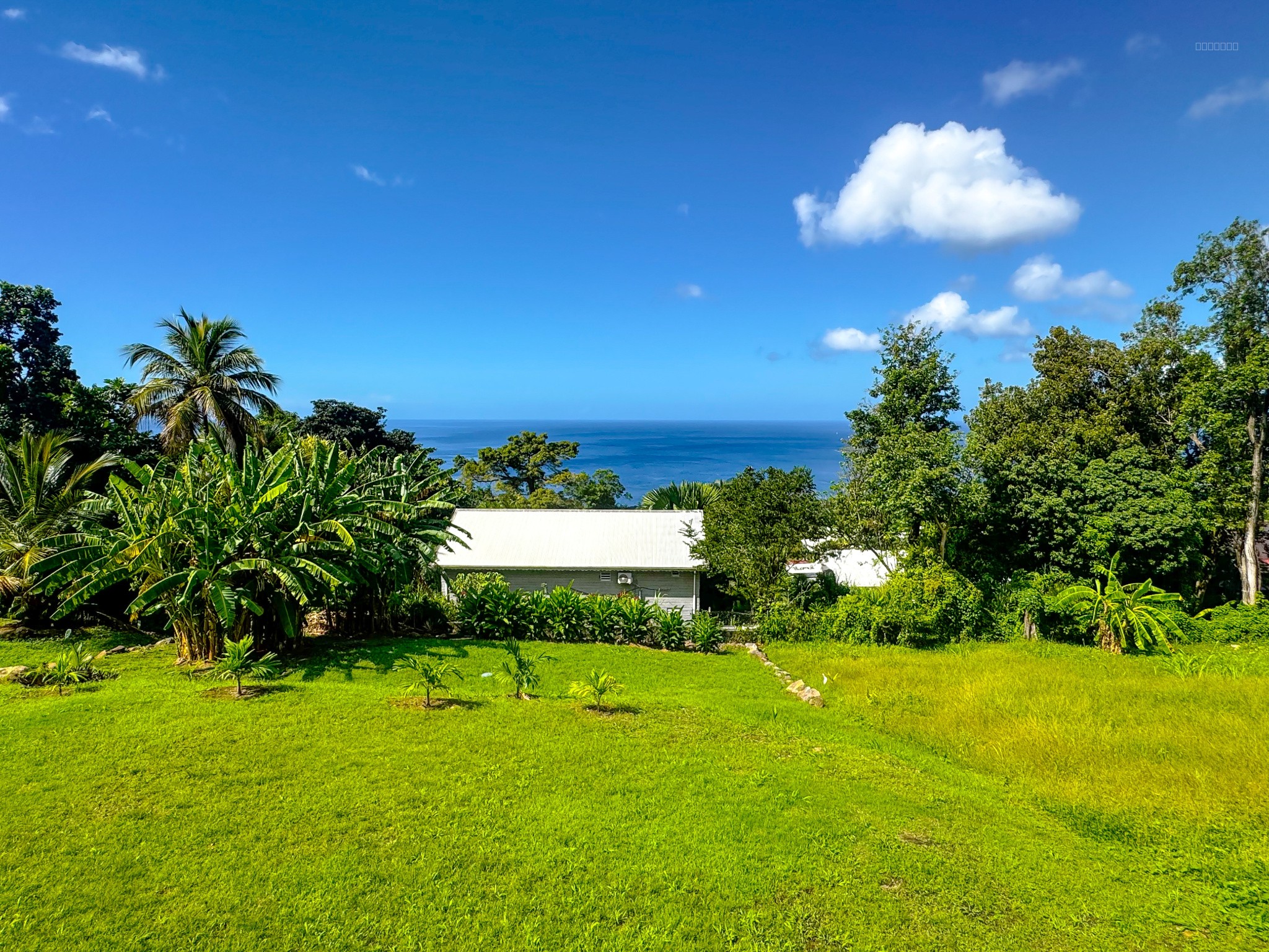 Villa à vendre à Bouillante, 1 330 m², 4 pièces – photo 3 sur 15