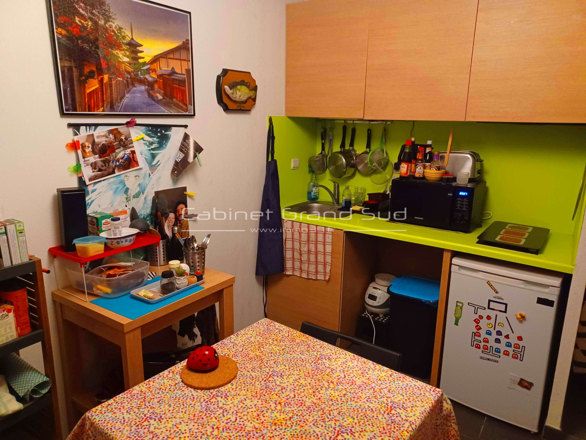 Studio à vendre à Castelnau le lez, 35,2 m², 1 pièce – photo 3 sur 4