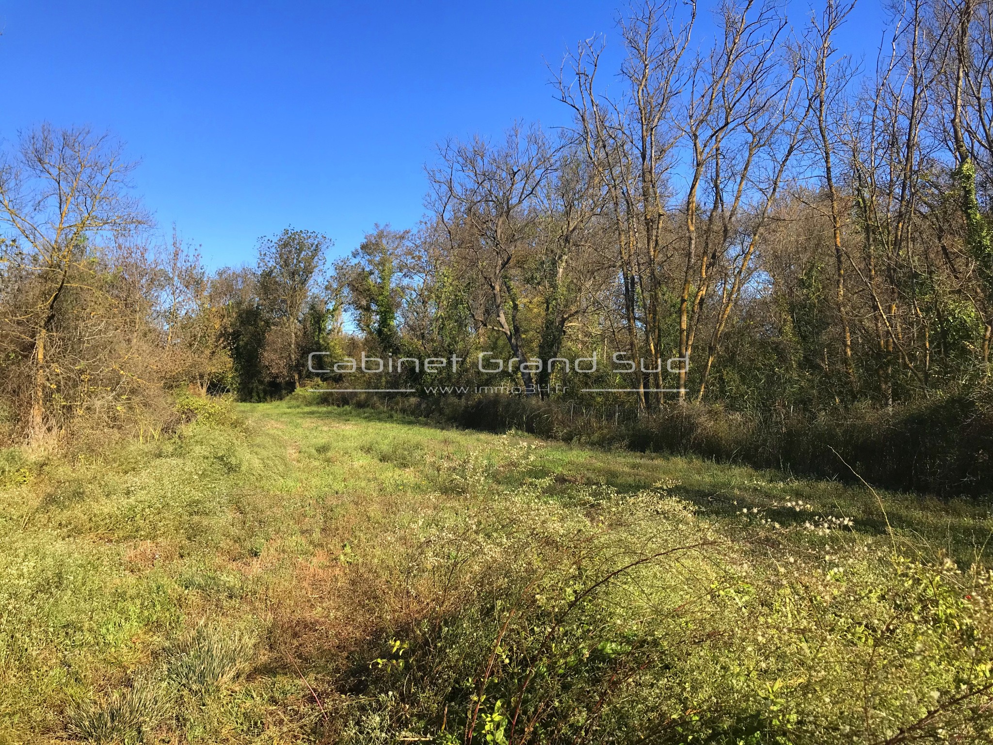 Bien immobilier à vendre à Mauguio, 1 488 m² – photo 1 sur 5