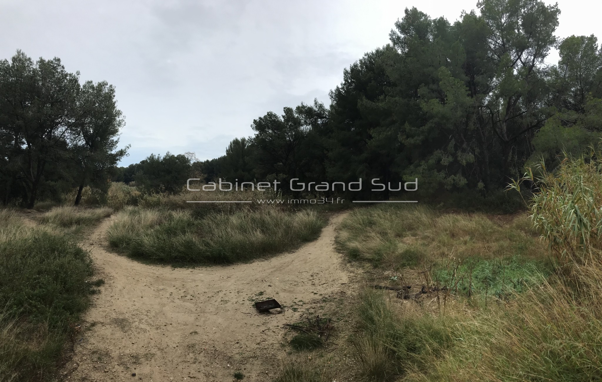 Bien immobilier à vendre à Mauguio, 80 839 m² – photo 3 sur 4
