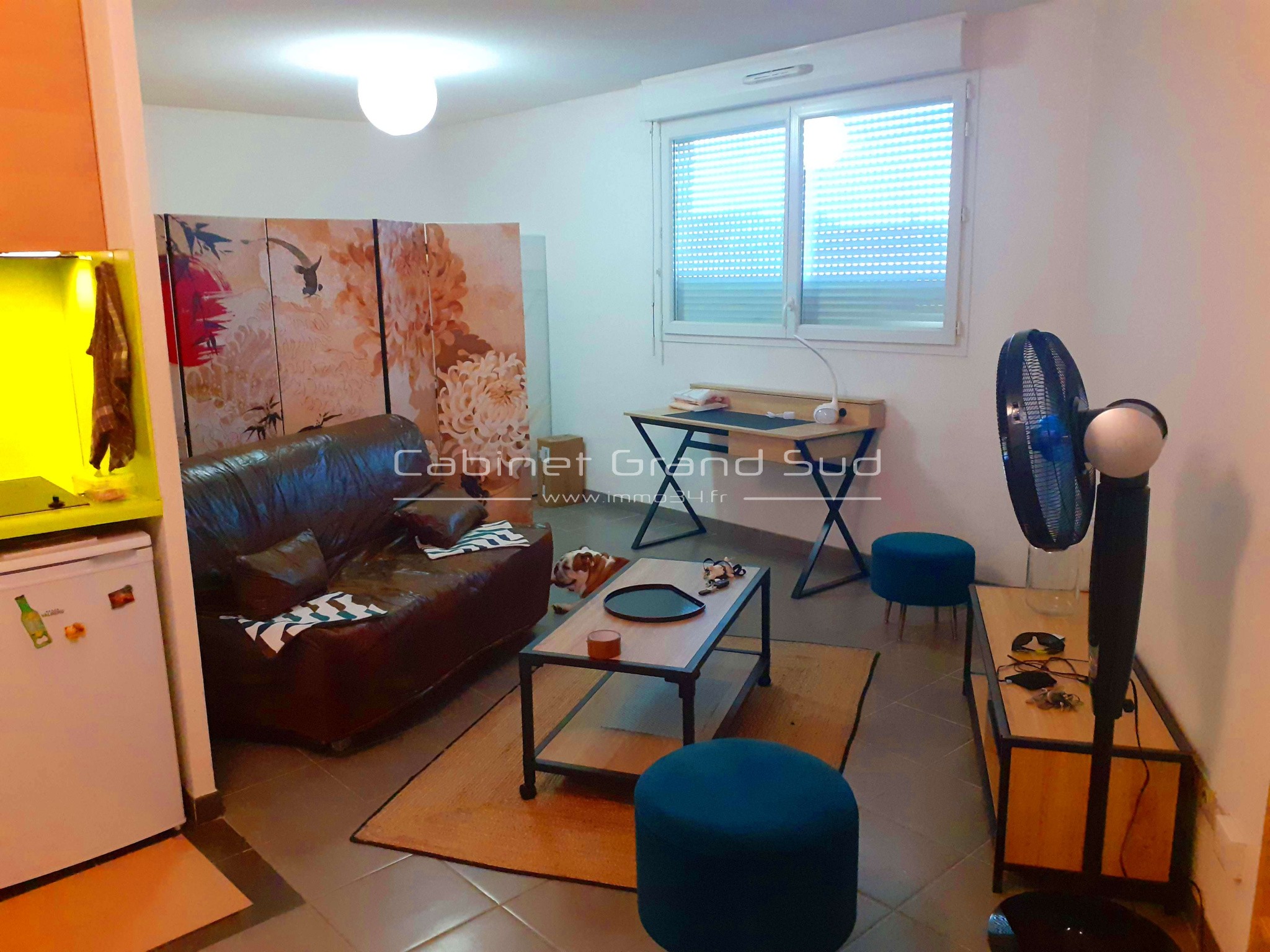 Studio à vendre à Castelnau le lez, 35,2 m², 1 pièce – photo 1 sur 4