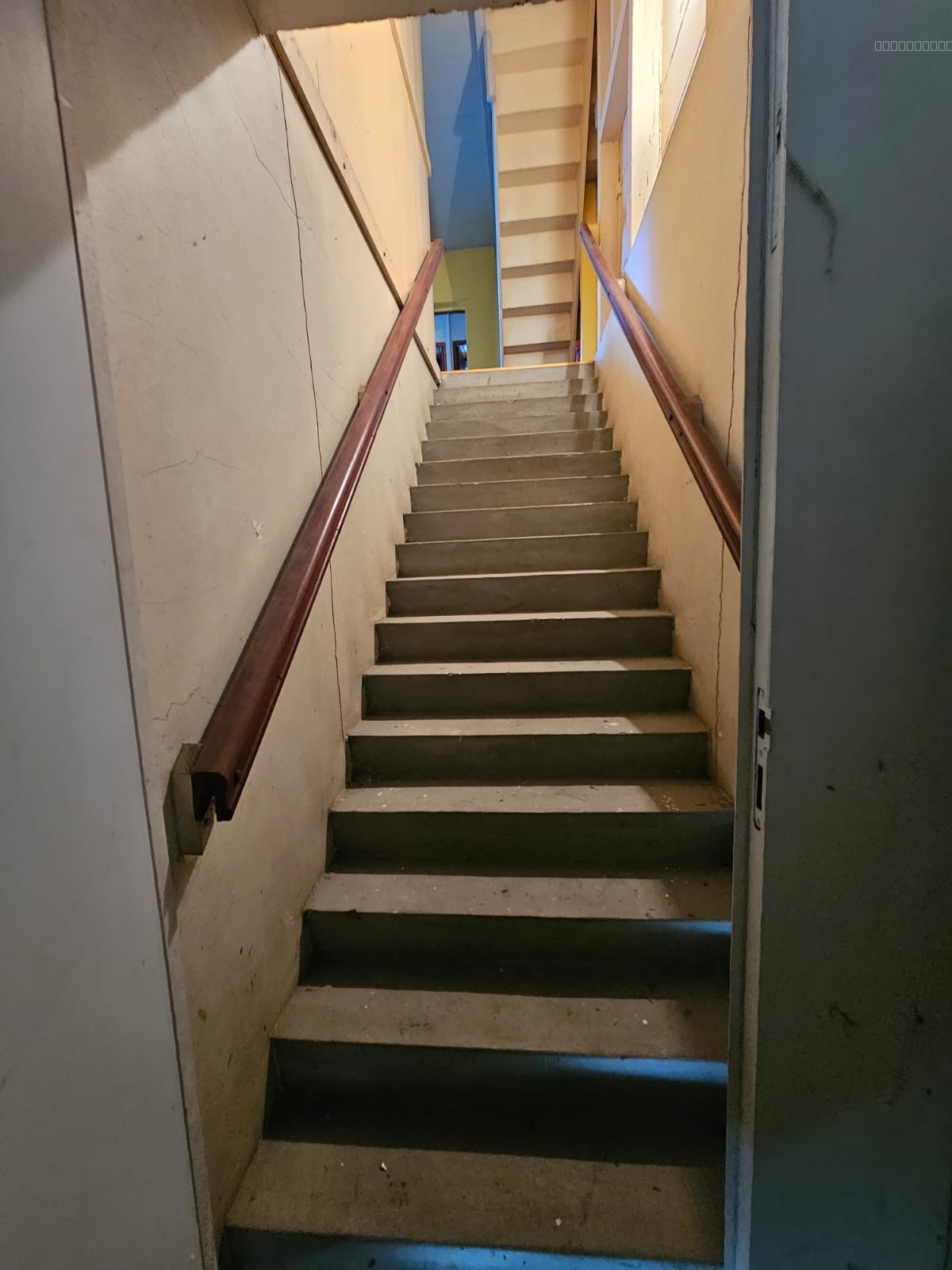 Rivière-Salée   Bien professionnel à fort potentiel   210 m2 + terrasses — photo 13