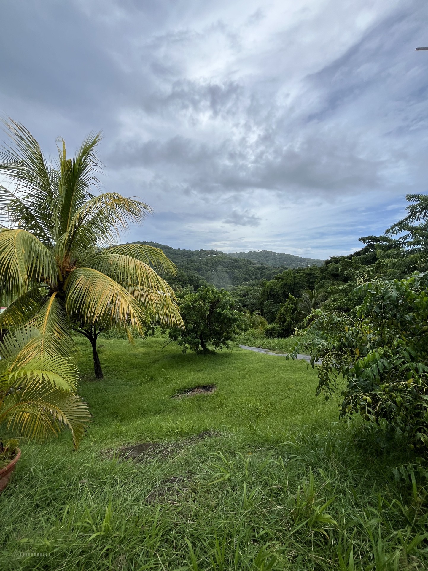 Terrain à vendre à Riviere pilote, 786 m² – photo 2 sur 4