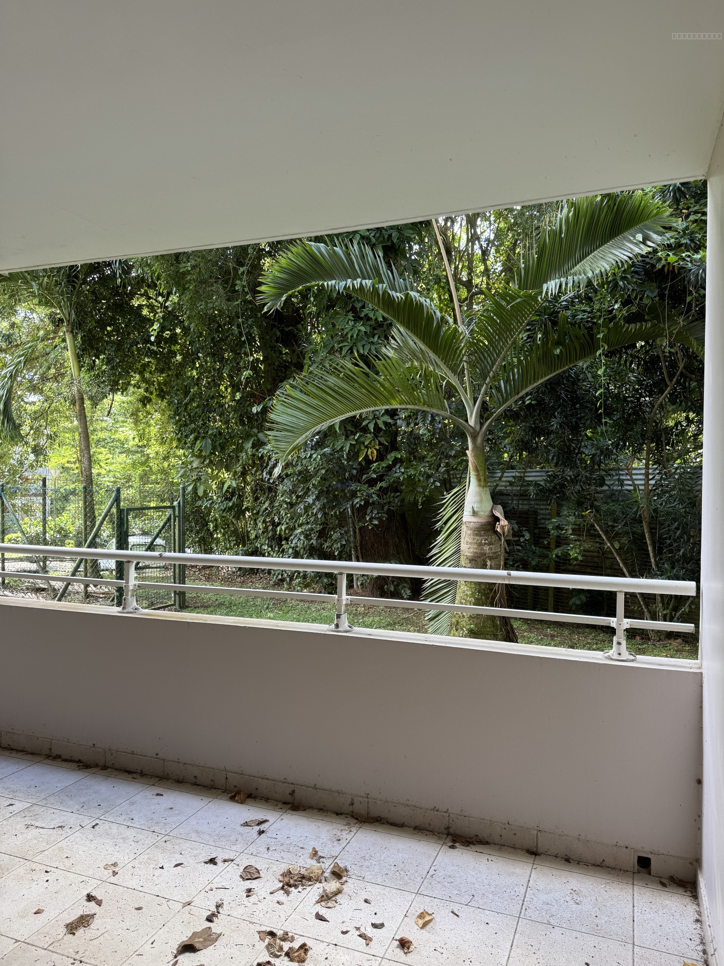 Rivière-Salée   Bien professionnel à fort potentiel   210 m2 + terrasses — photo 3