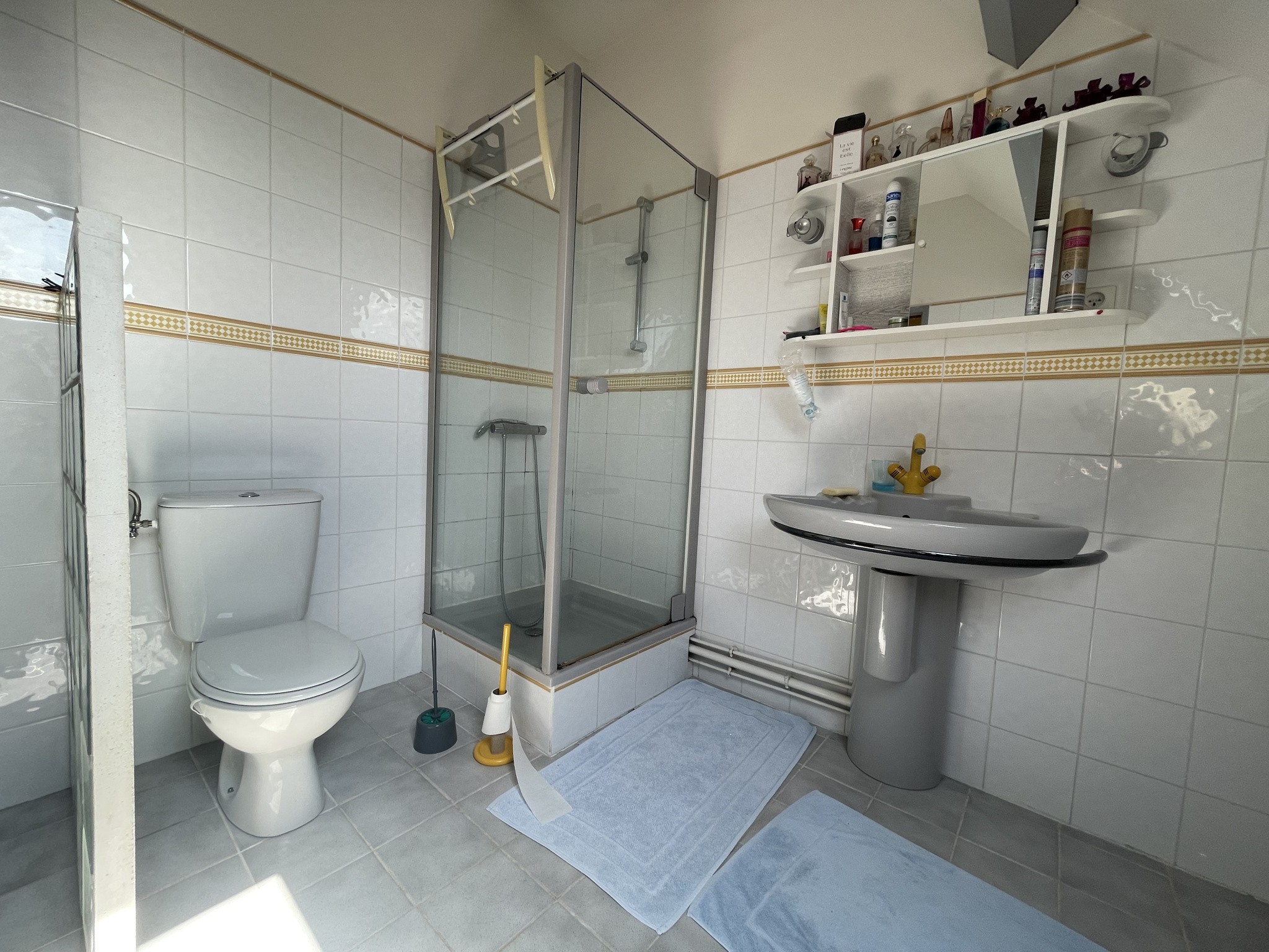 MAISON SPACIEUSE DE 180M2 HABITABLE AVEC 1400M2 DE TERRAIN ET GA — photo 13