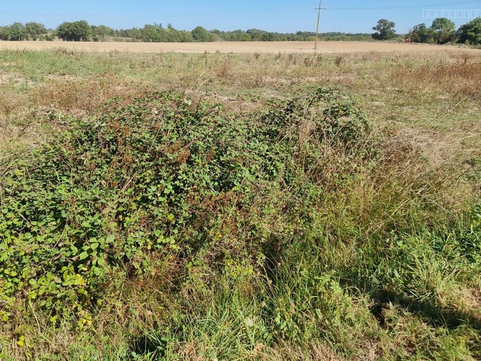 Bien immobilier à vendre à Aigrefeuille sur maine, 482 m² – photo 3 sur 4
