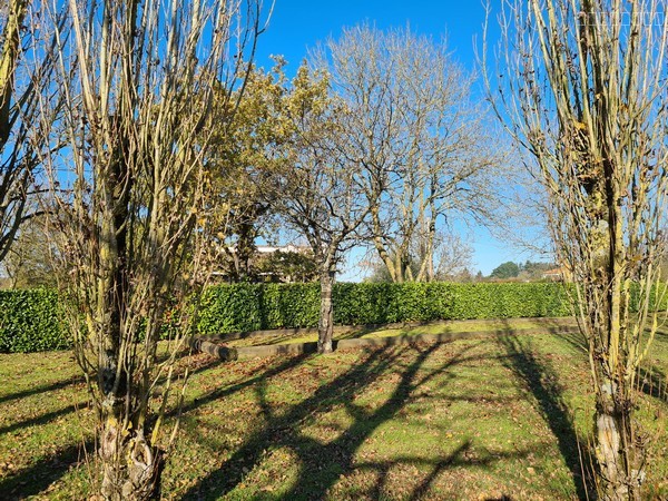 Bien immobilier à vendre à La chaussaire, 1 307 m² – photo 3 sur 4