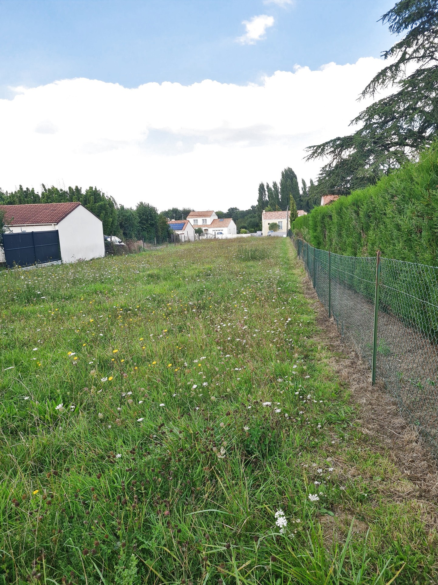 Bien immobilier à vendre à Mouzillon, 479 m² – photo 3 sur 5