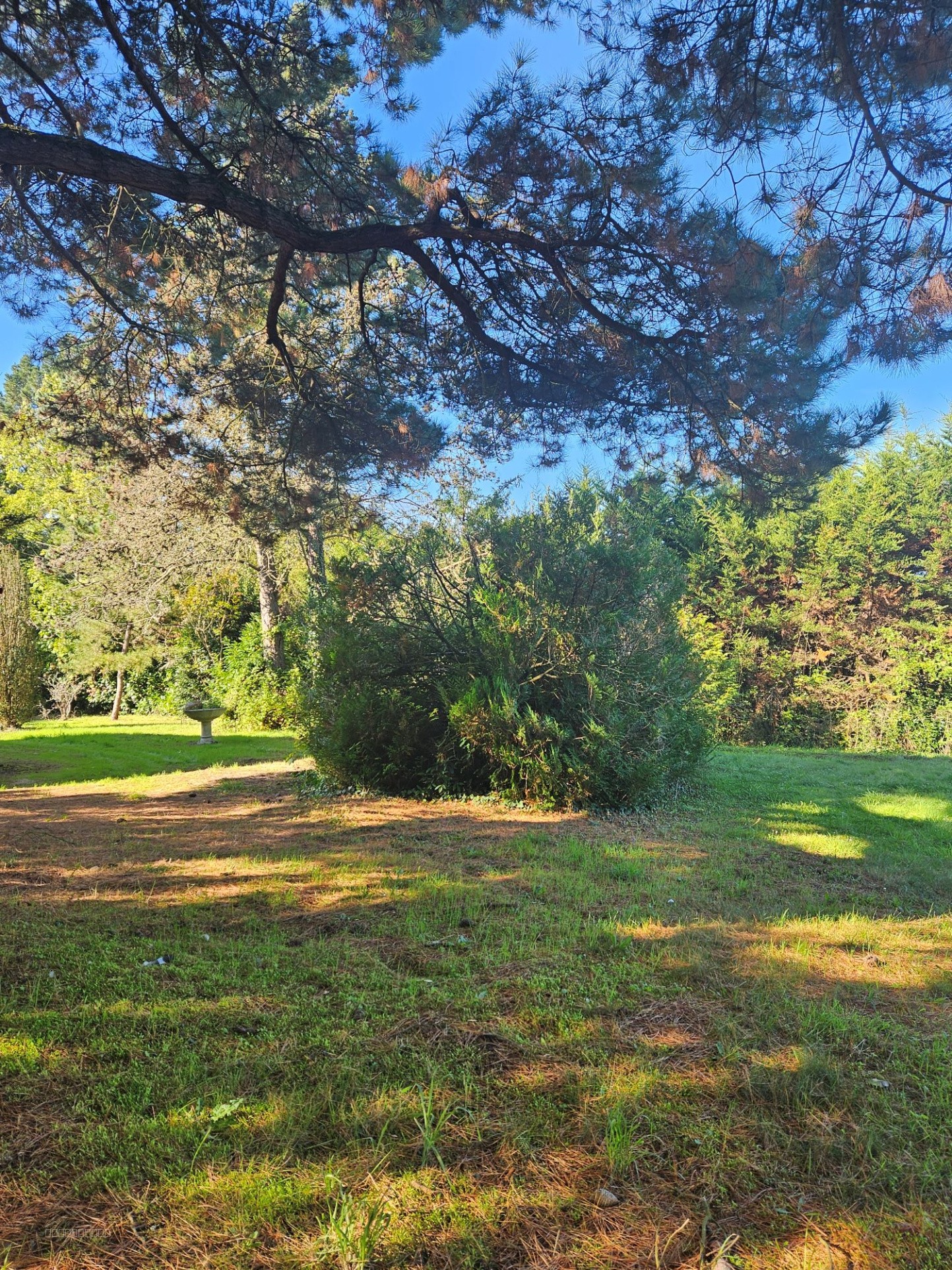 Maison à vendre à La chapelle heulin, 1 030 m², 5 pièces – photo 2 sur 13