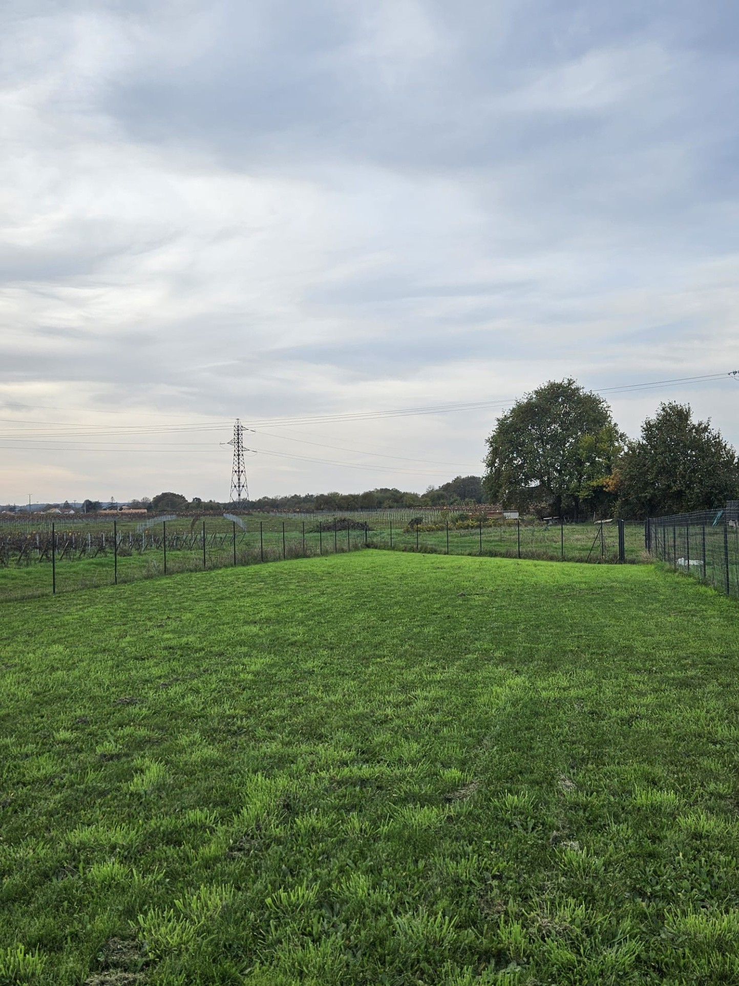 Maison à vendre à Le pallet, 86 m², 4 pièces – photo 2 sur 11