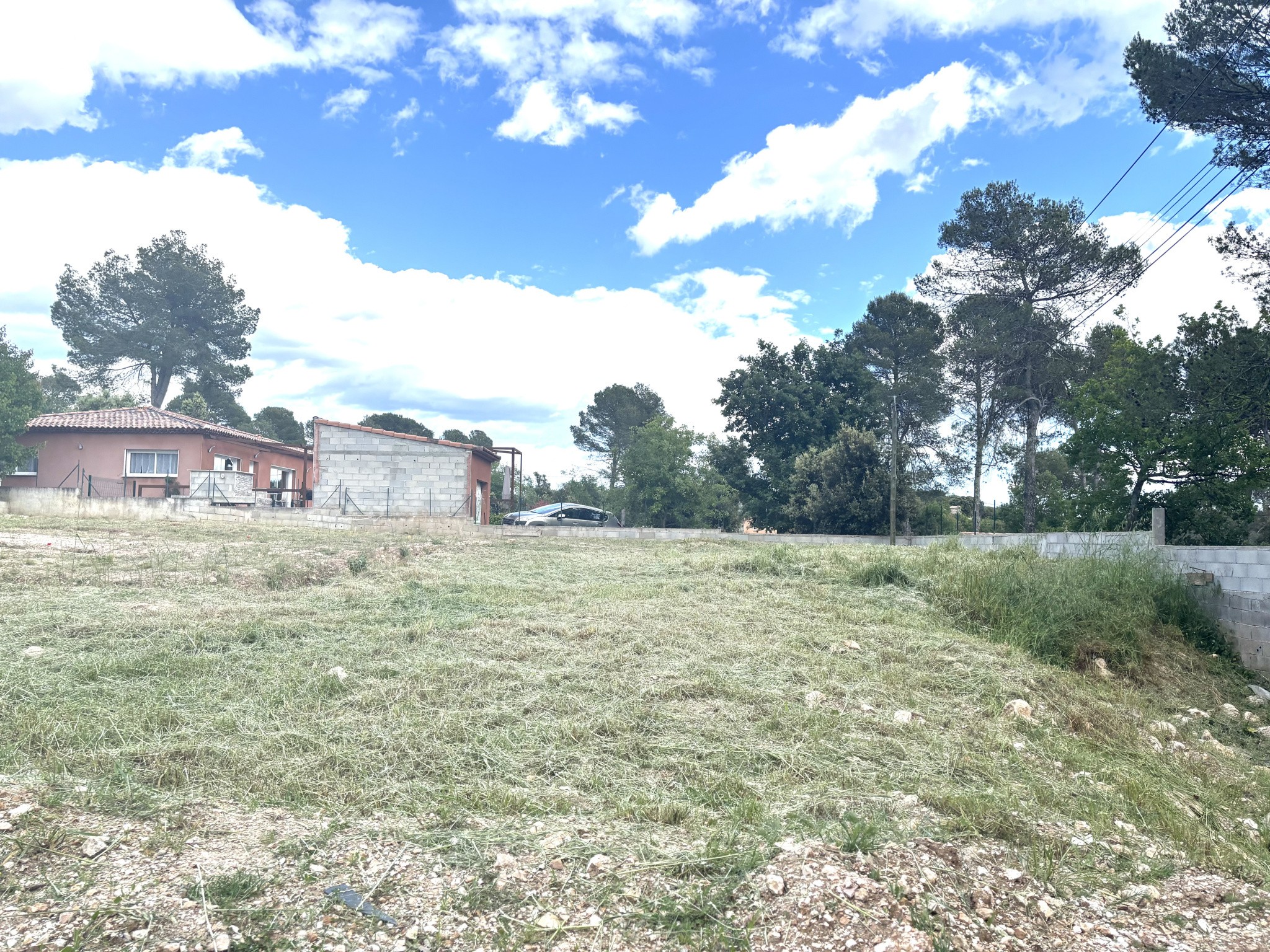 terrain — photo 1