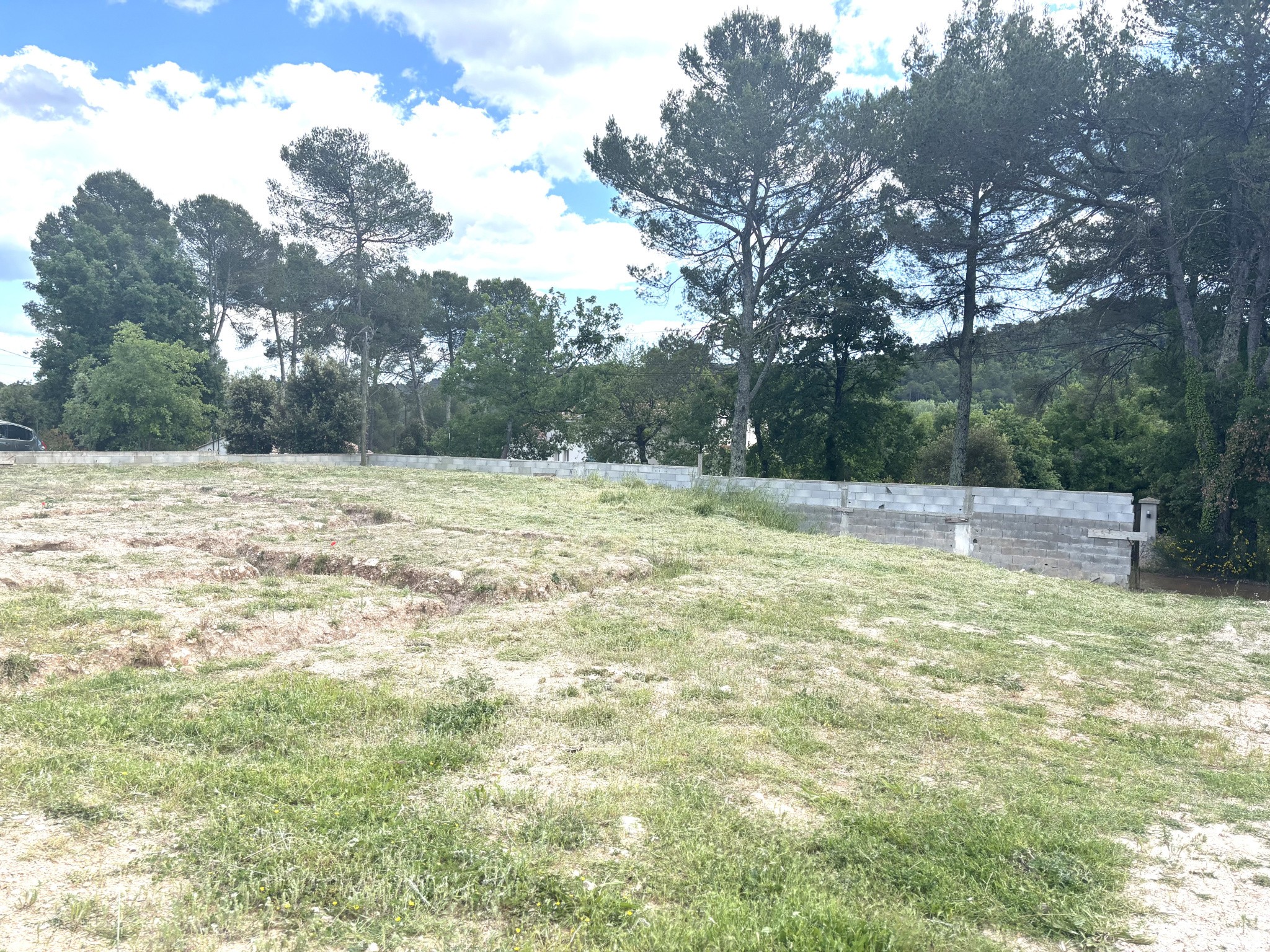 terrain — photo 2