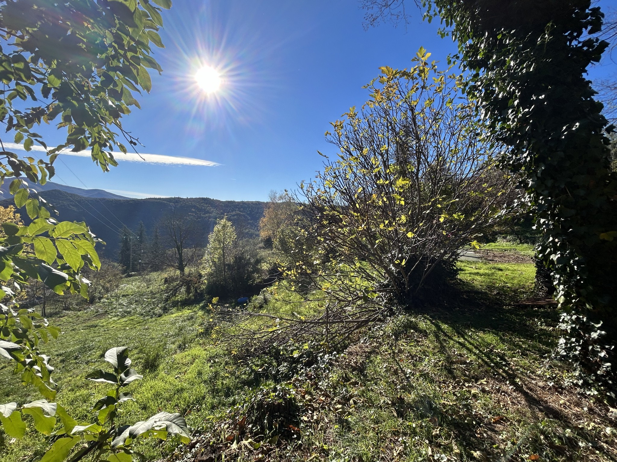 À Corsavy (66), terrain de 1500m2 à acheter — photo 6