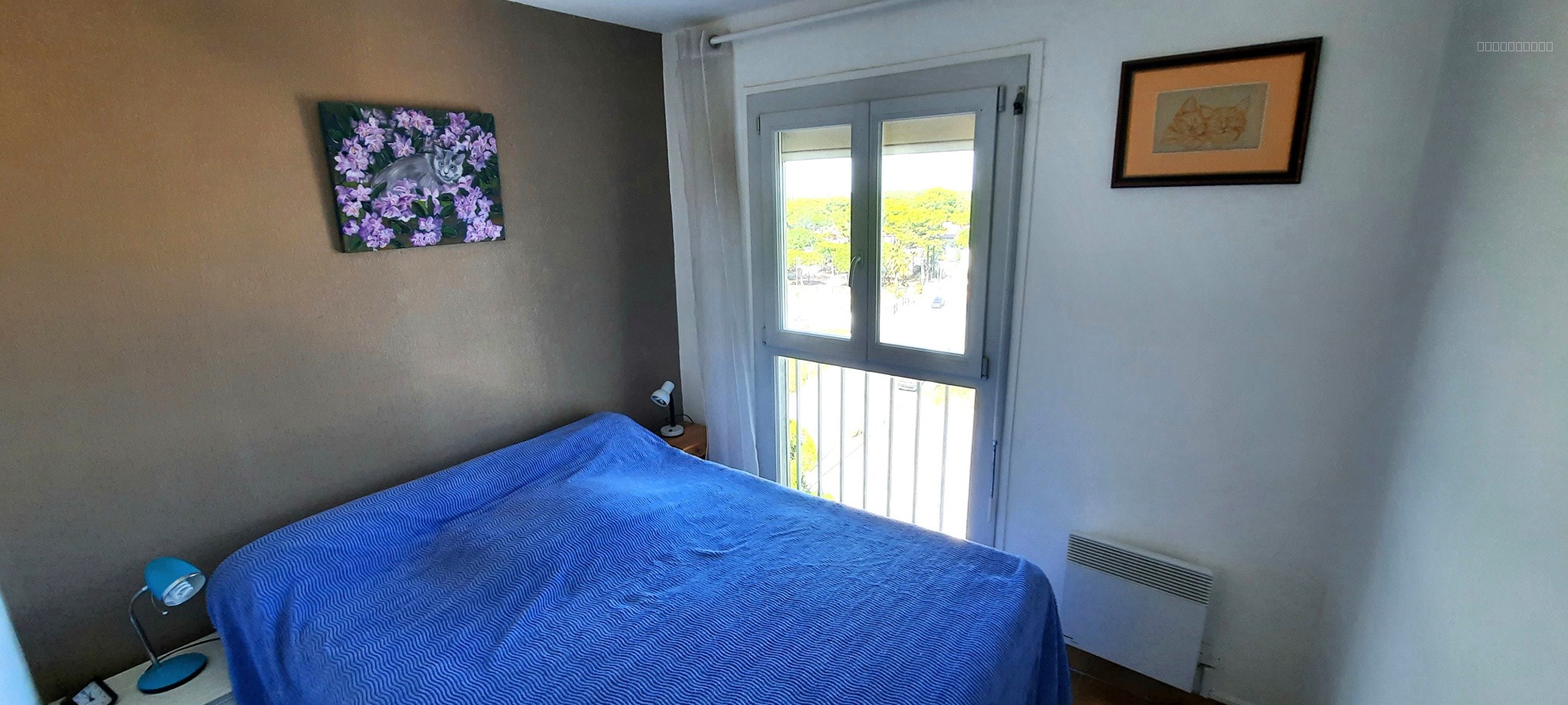 appartement bord de mer ARGELES — photo 5