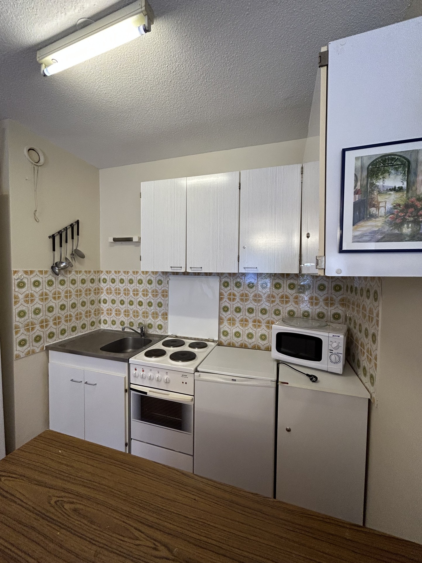 STATION THERMALE - APPARTEMENT PLEIN SUD — photo 2