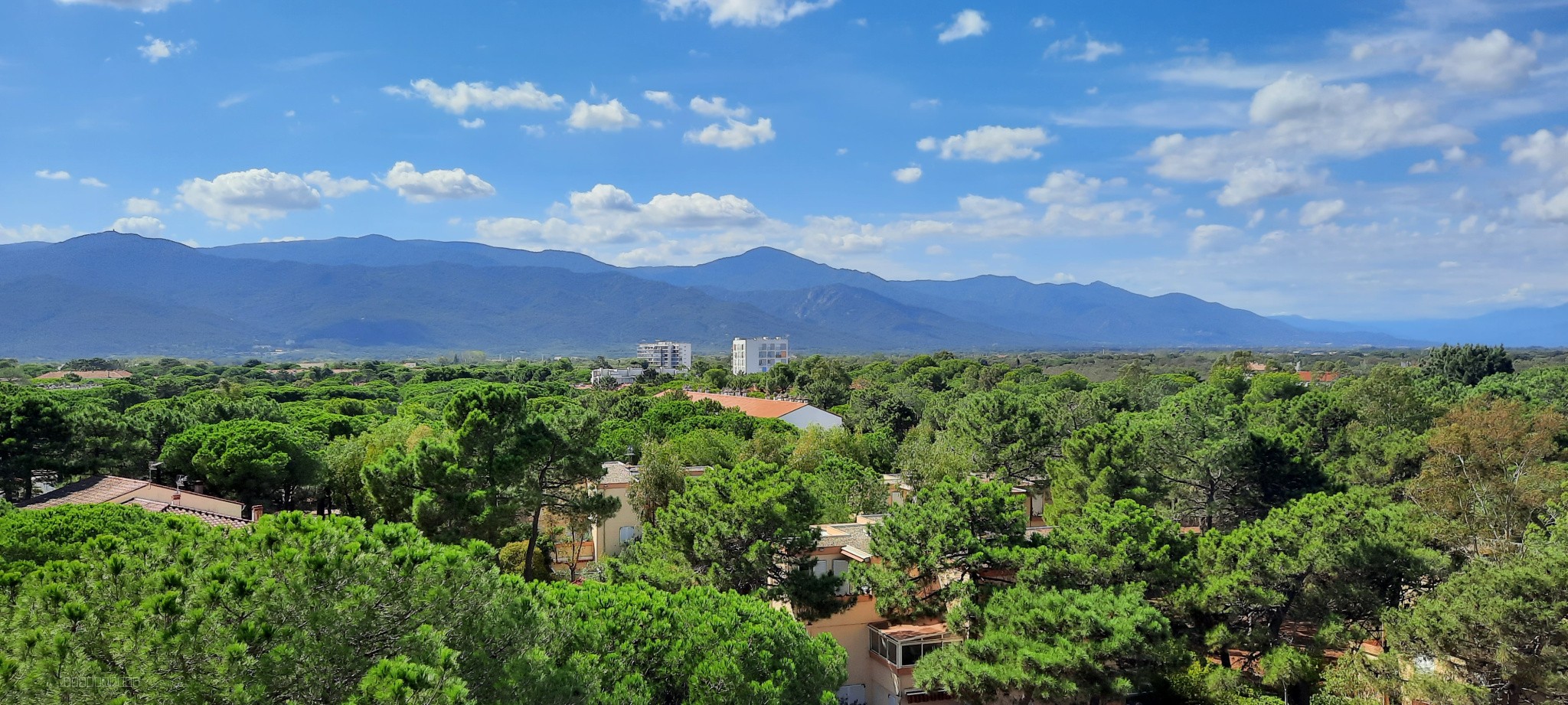 appartement bord de mer ARGELES — photo 10