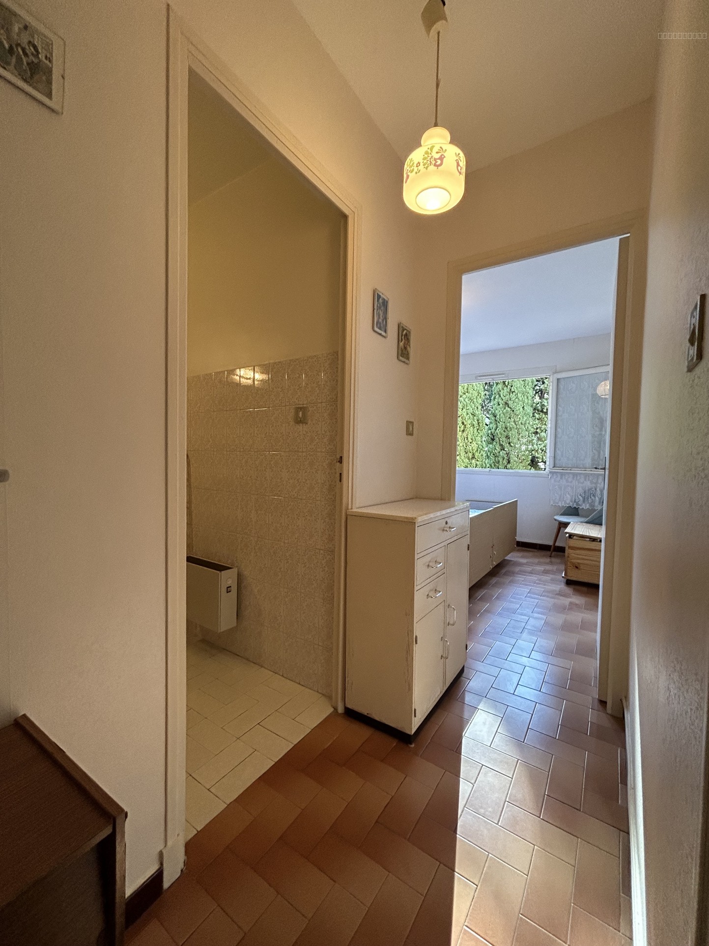 STATION THERMALE - APPARTEMENT PLEIN SUD — photo 5