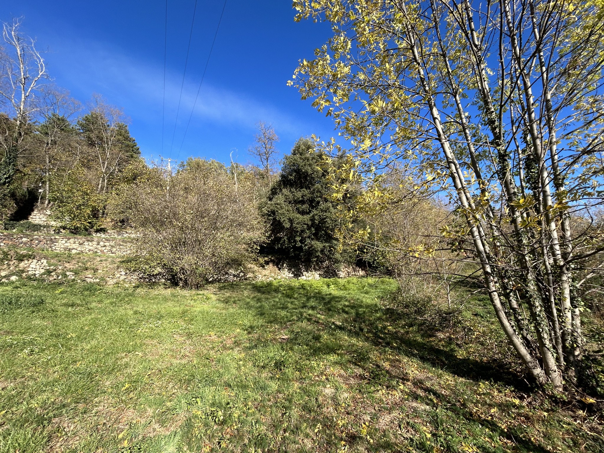 À Corsavy (66), terrain de 1500m2 à acheter — photo 5