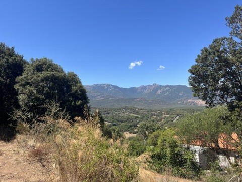 Terrain à vendre à Figari, 8 400 m² – photo 2 sur 7