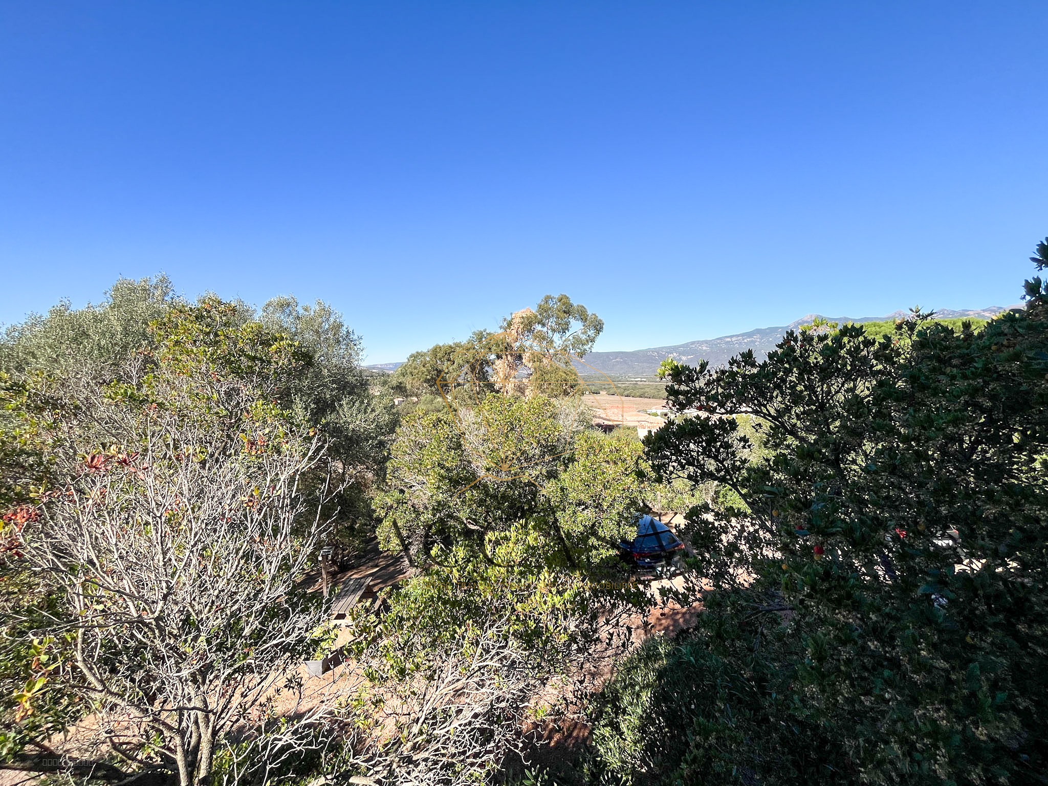 Propriété avec deux maisons à vendre à Figari sur un terrain arboré, proche plages et aéroport — photo 16