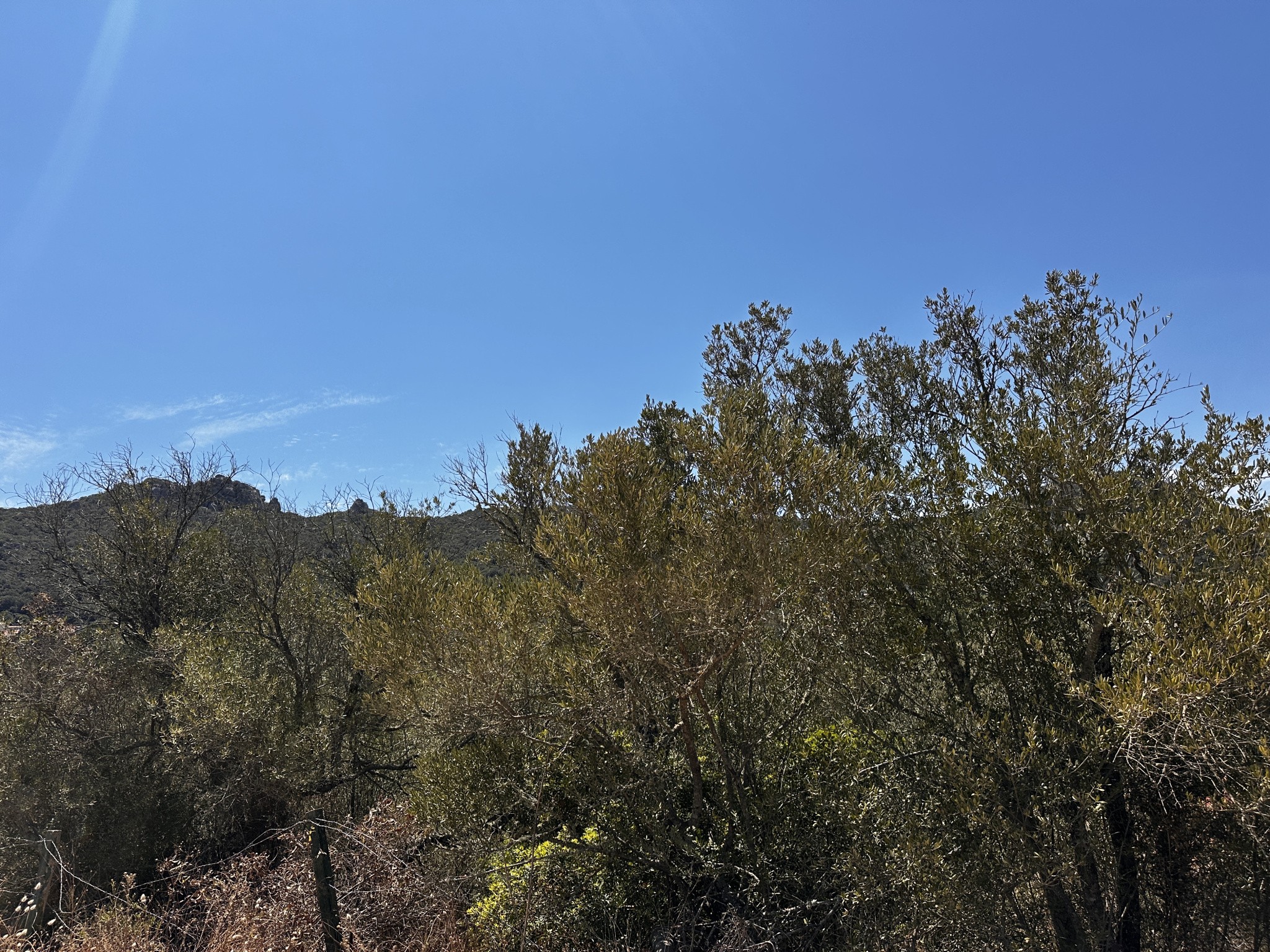 Bien immobilier à vendre à Figari, 3 280 m² – photo 3 sur 4