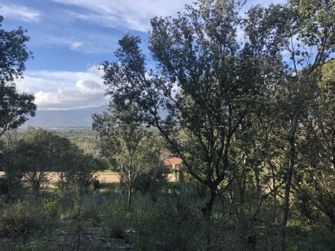Maison vue mer à Lecci — photo 11