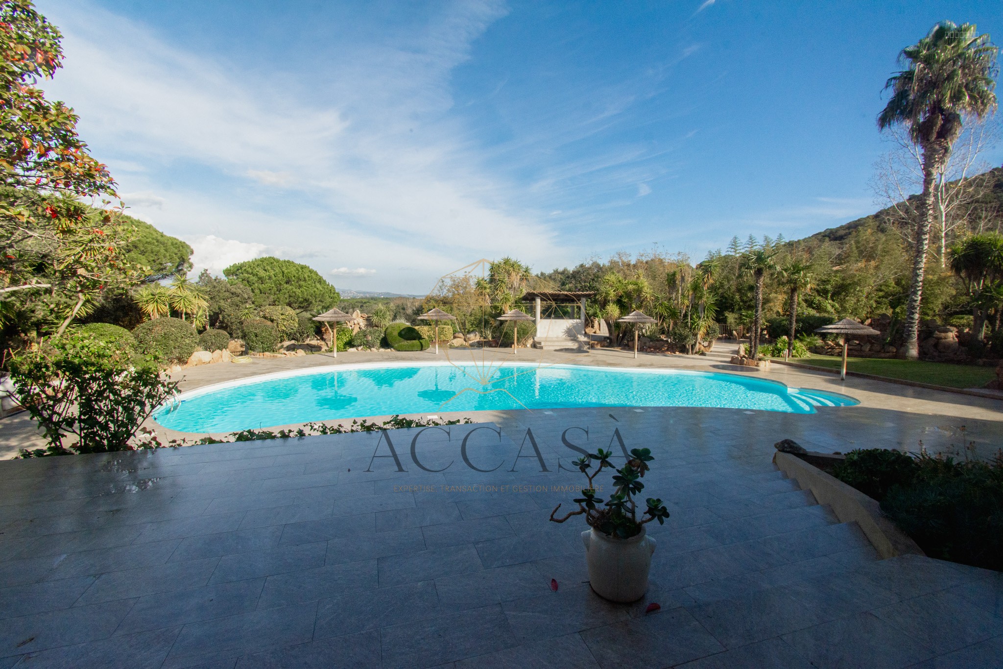 Bien immobilier à vendre à Porto vecchio, 1 171 m², 58 pièces – photo 1 sur 20
