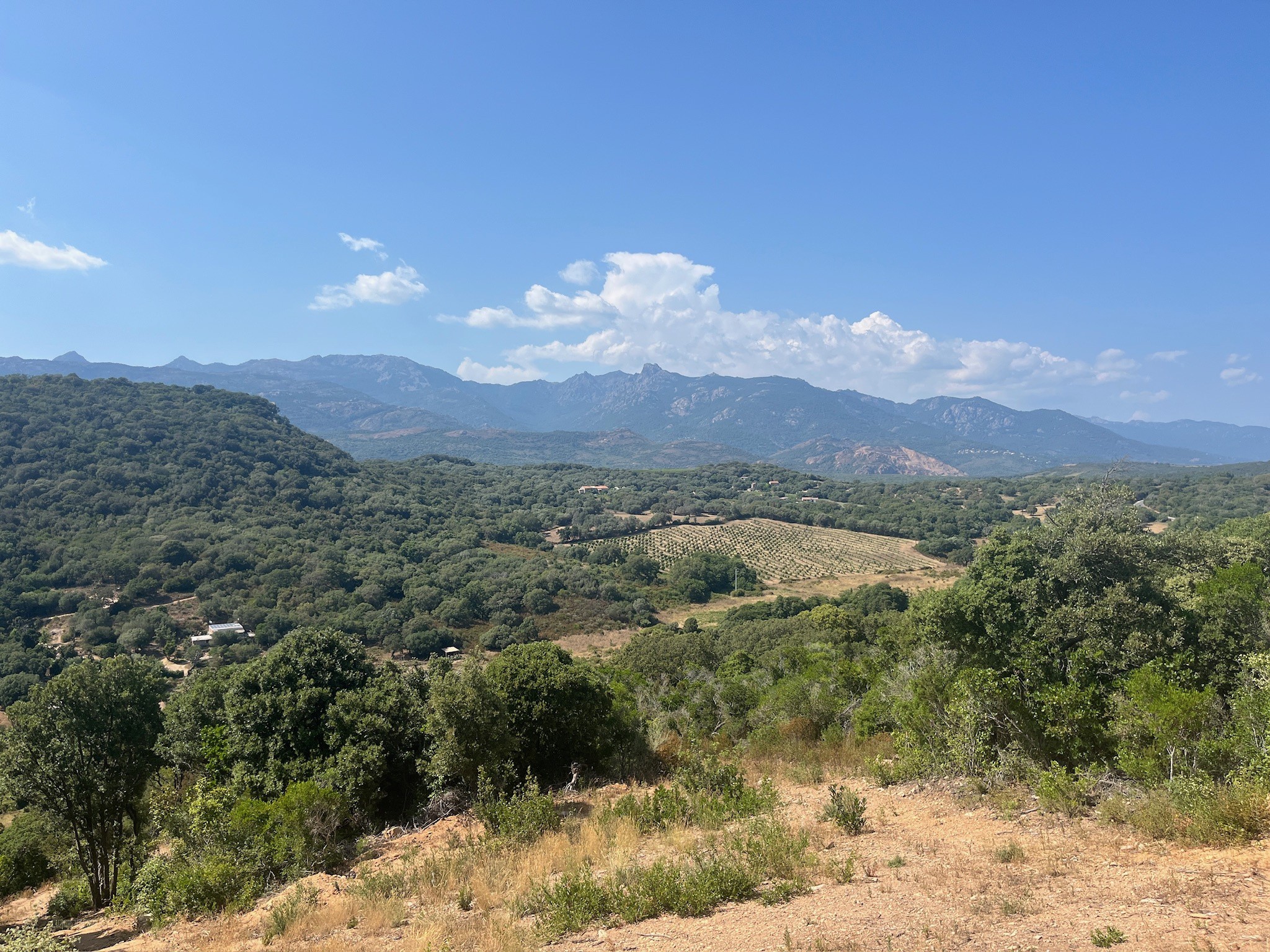 Terrain à vendre à Figari, 14 545 m² – photo 2 sur 3