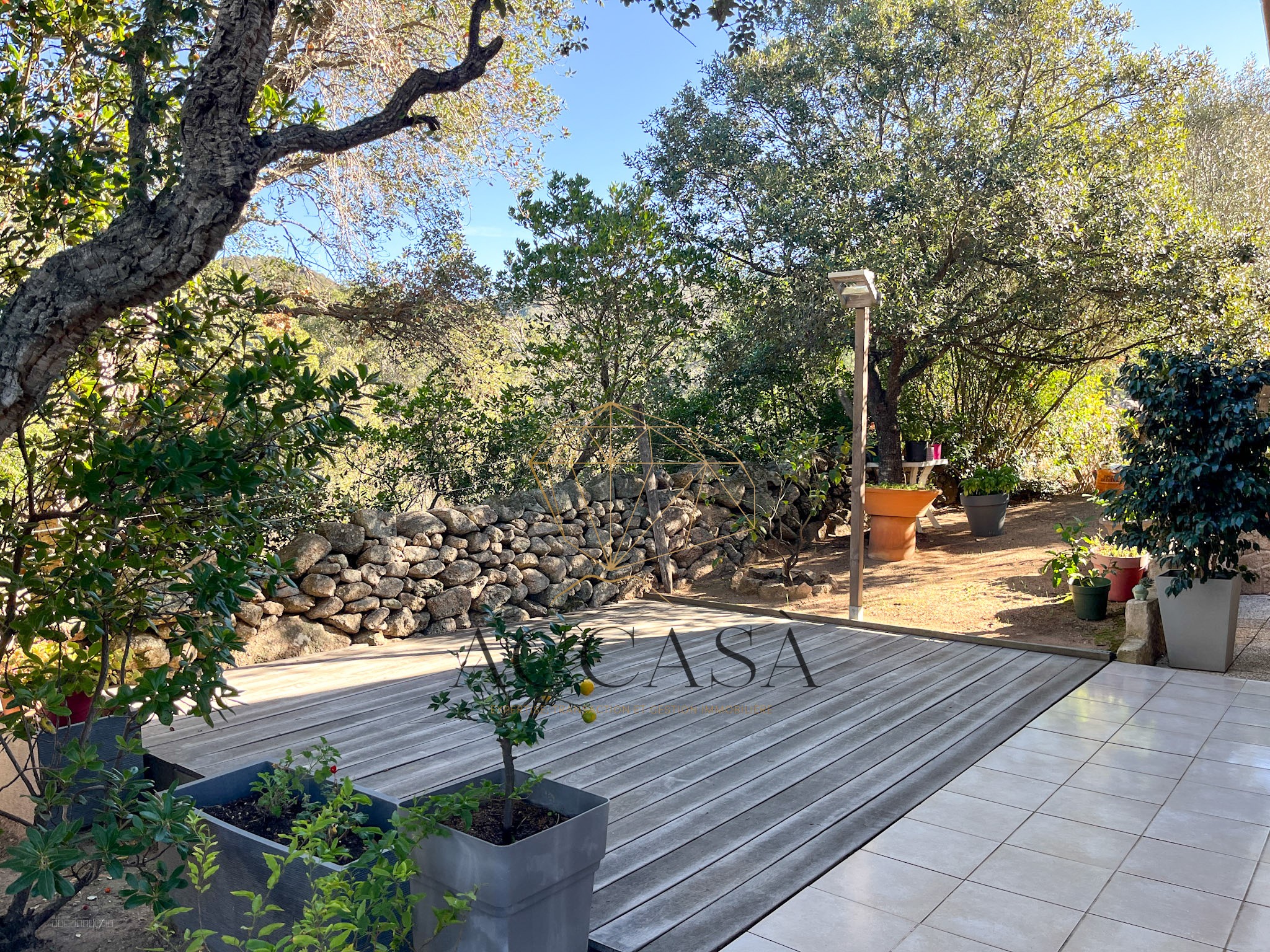 Propriété avec deux maisons à vendre à Figari sur un terrain arboré, proche plages et aéroport — photo 14