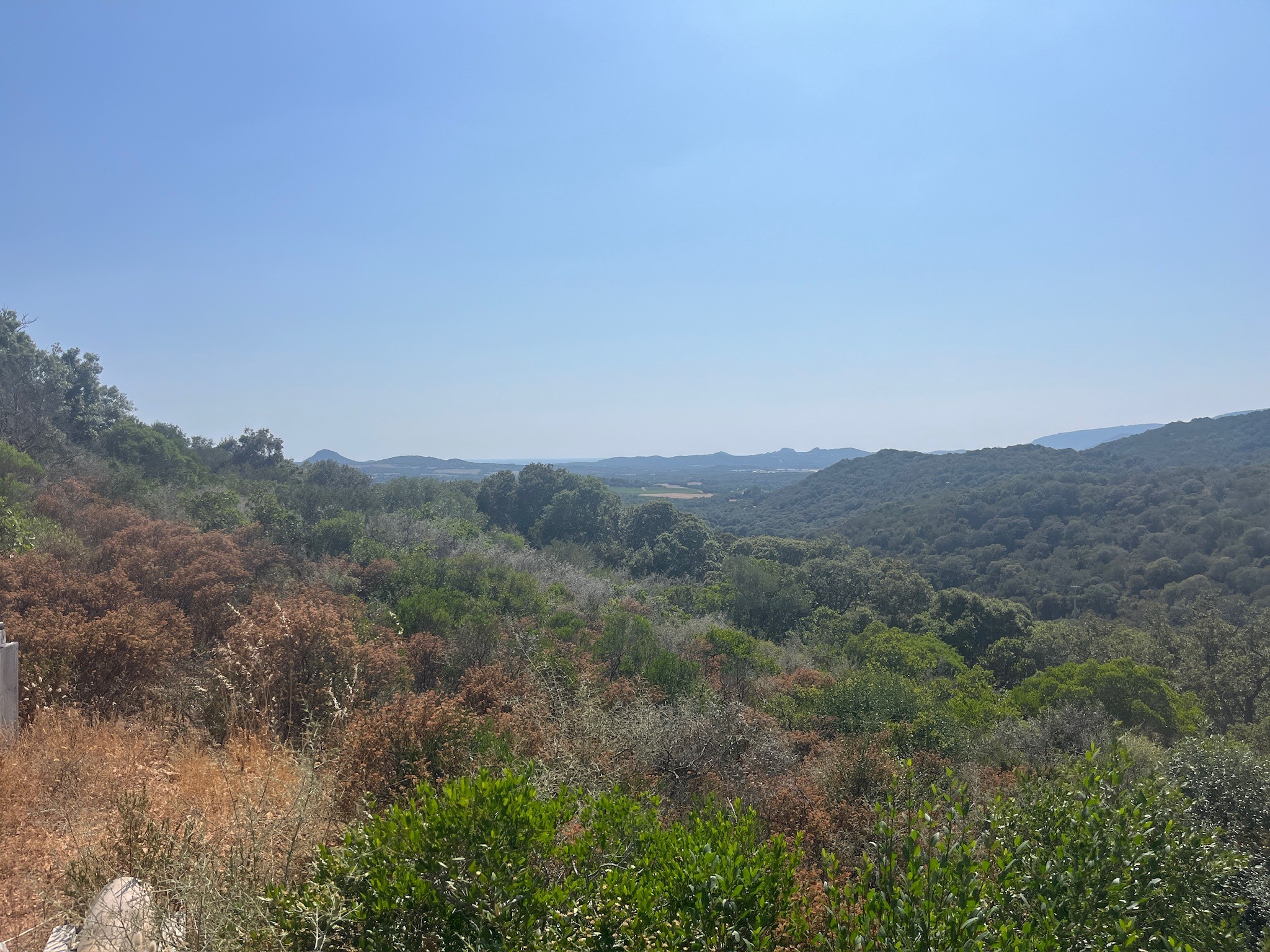 Terrain à vendre à Figari, 14 545 m² – photo 3 sur 3