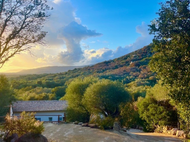 Villa à vendre à Figari, 758 m², 7 pièces – photo 1 sur 20