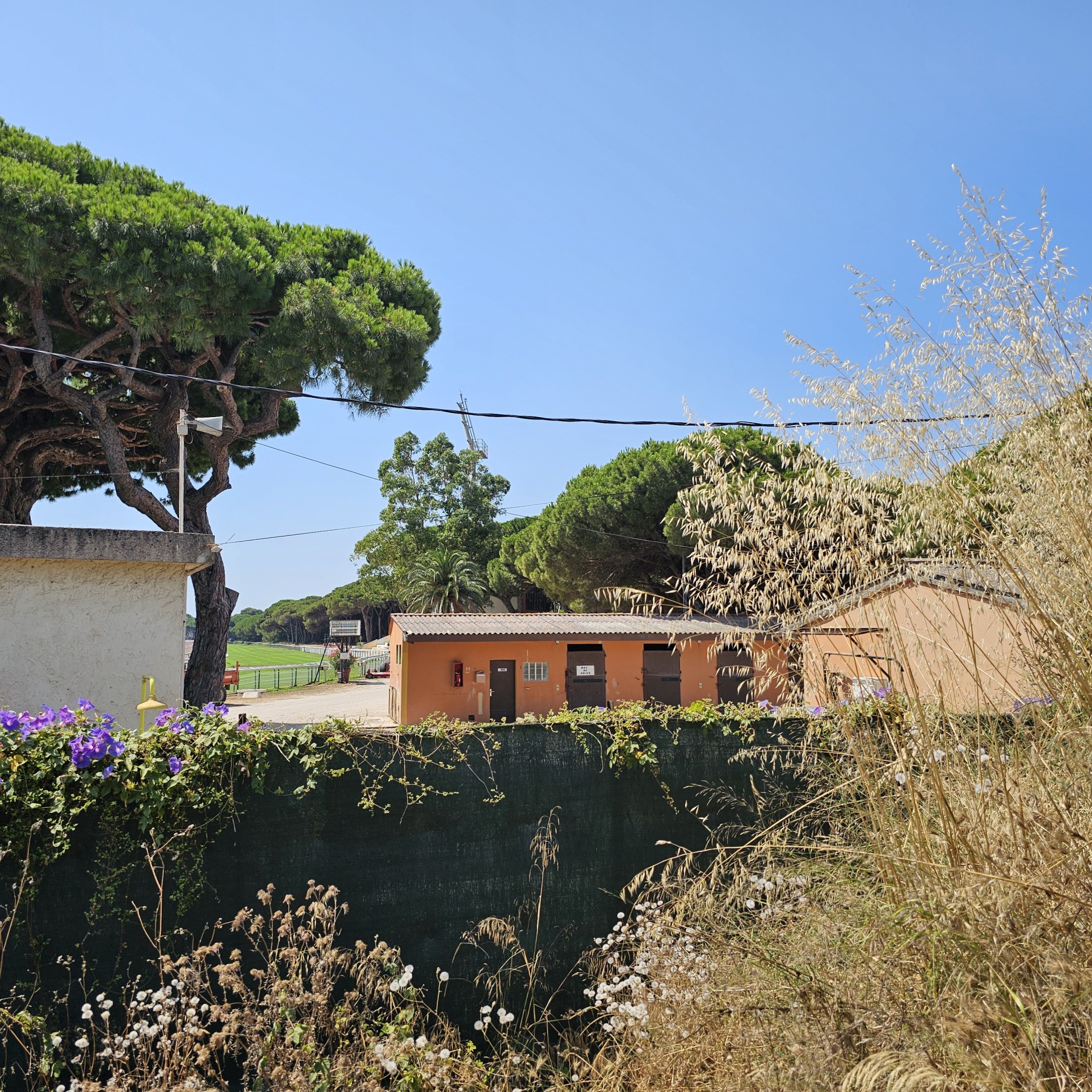 Bien immobilier à vendre à Hyeres, 1 408 m² – photo 2 sur 4