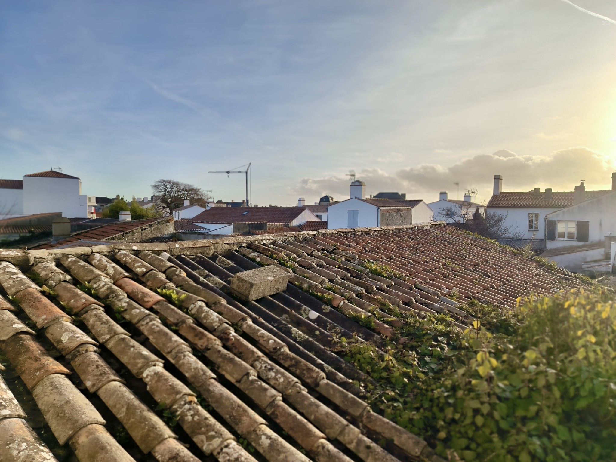 Maison à vendre à Noirmoutier en l ile, 131 m², 7 pièces – photo 3 sur 8