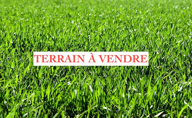Terrain à vendre à Vertou, 239 m² – photo 1 sur 1