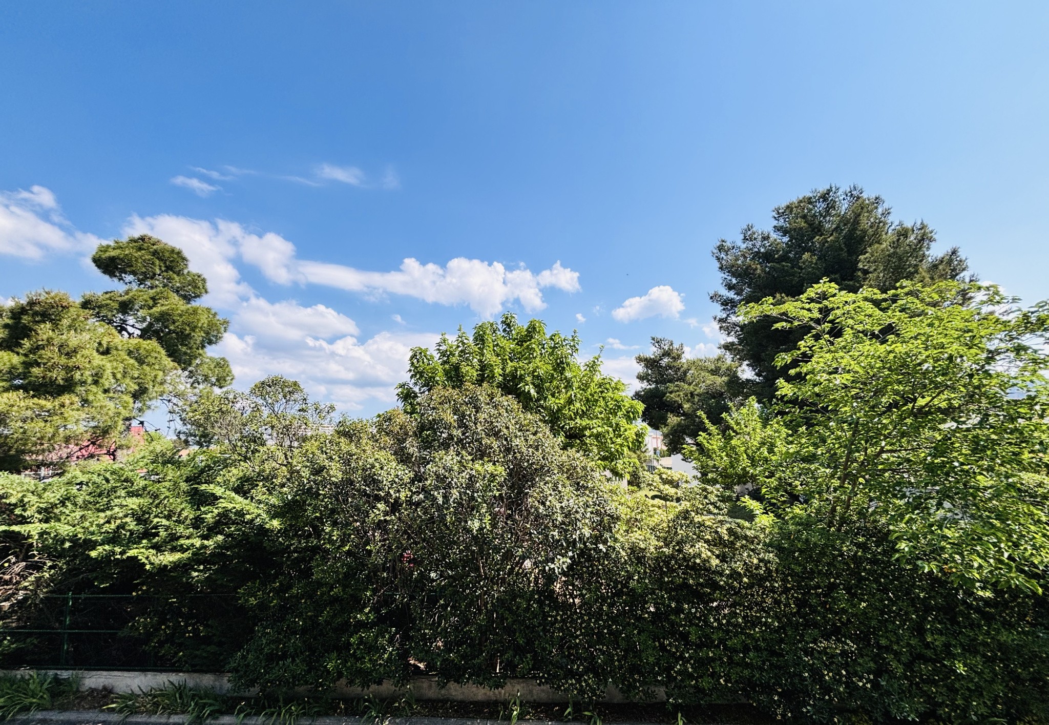 SOUS OFFRE4 PIECES 76,95m2LC + TERASSE 15m2 Saint Anne 13008 MARSEILLE- À 10 minutes des plages — photo 3