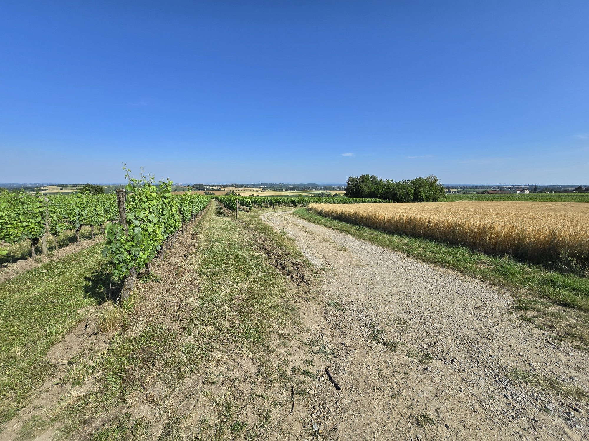 Terrain à vendre à Chemilly, 146 120 m² – photo 3 sur 4
