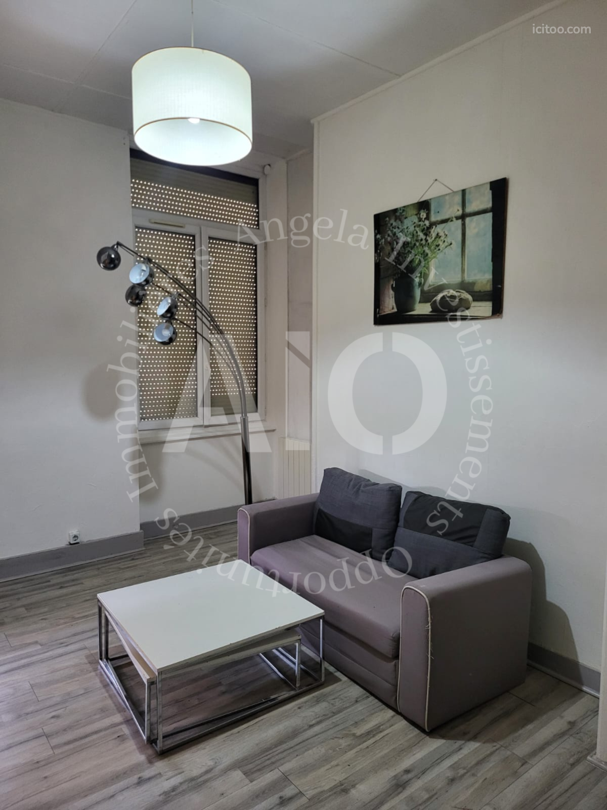 Appartement à vendre à Caluire-et-Cuire : petit salon avec canapé, table basse et tableau mural