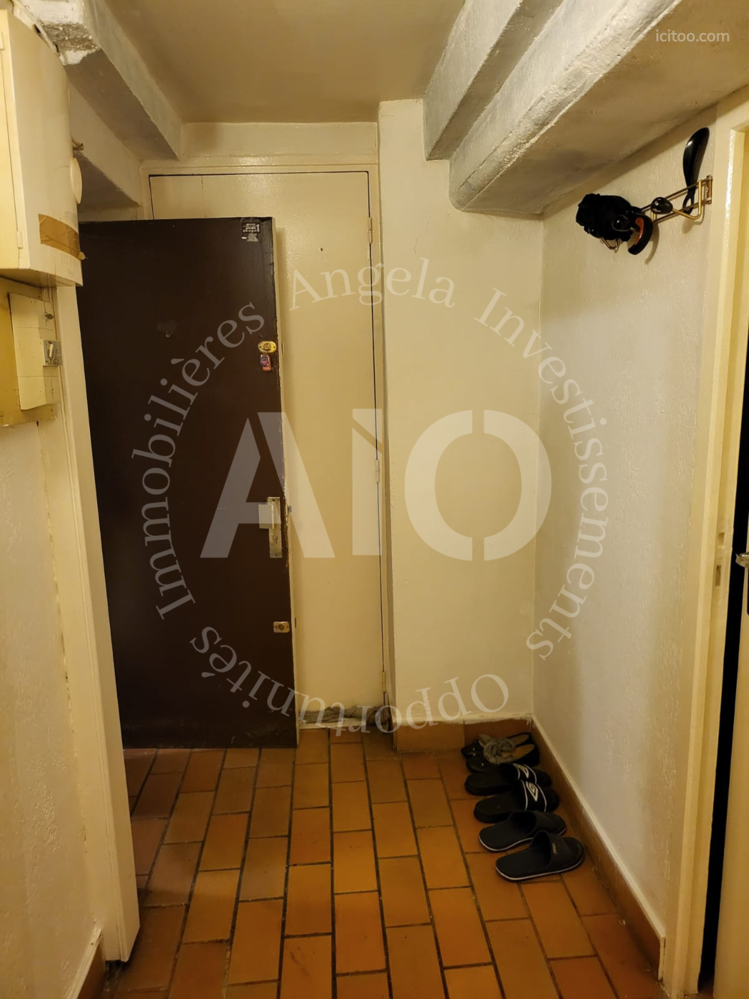 Appartement à vendre à Caluire-et-Cuire : entrée avec porte sombre et quelques sandales au sol