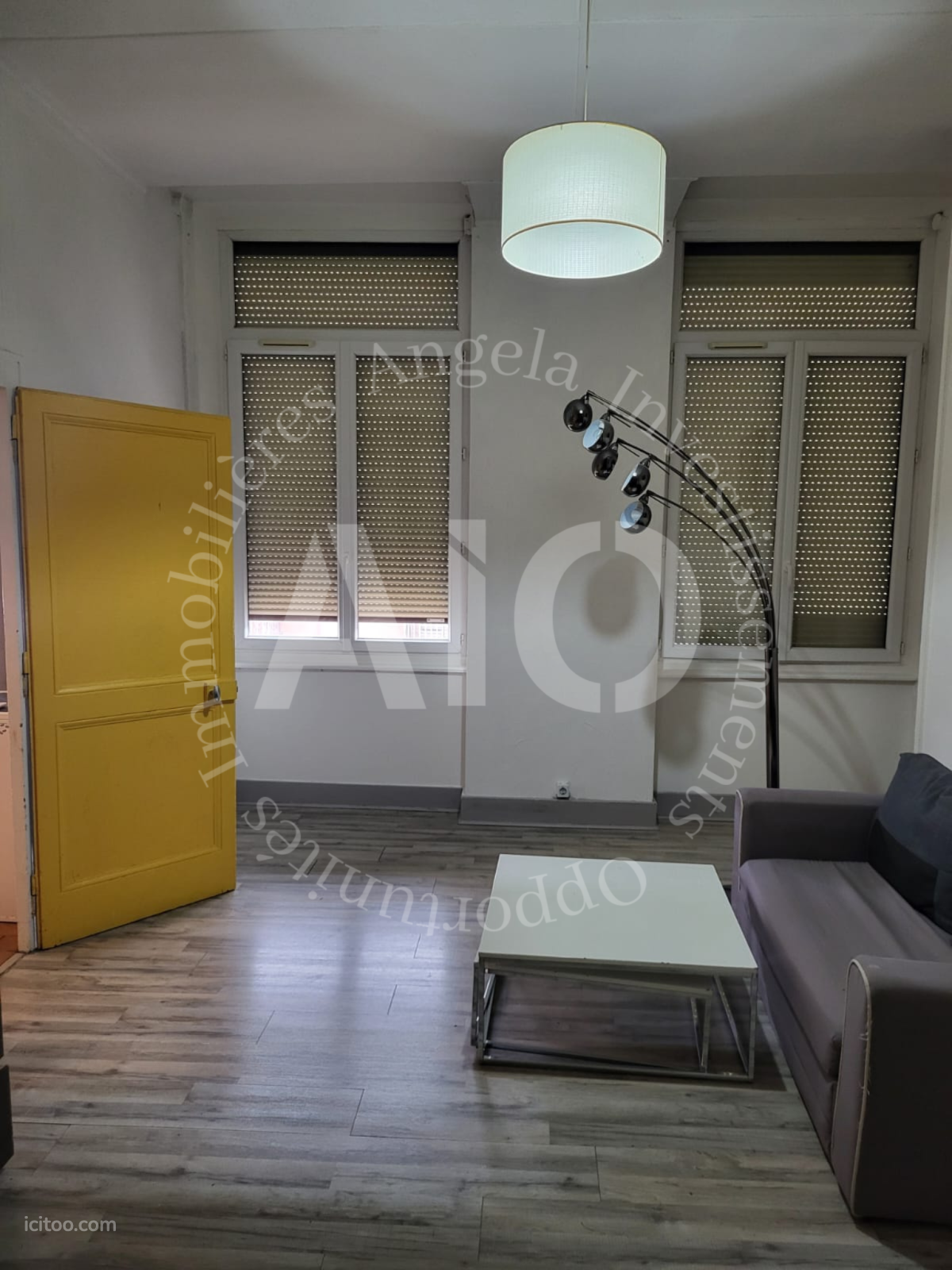 Appartement à vendre à Caluire-et-Cuire : salon avec canapé gris, table basse et porte jaune