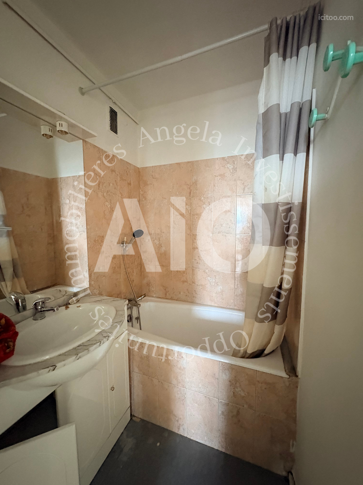 Appartement à vendre à Tassin-la-Demi-Lune : salle de bain avec baignoire et lavabo en marbre