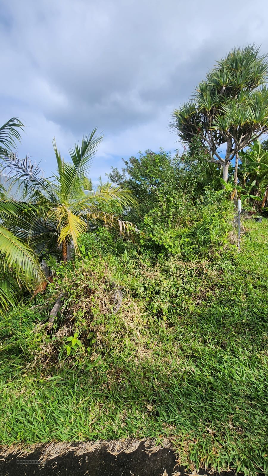 MAISON F3 SUR UN TERRAIN DE 497 M2 / VINCENDO — photo 4